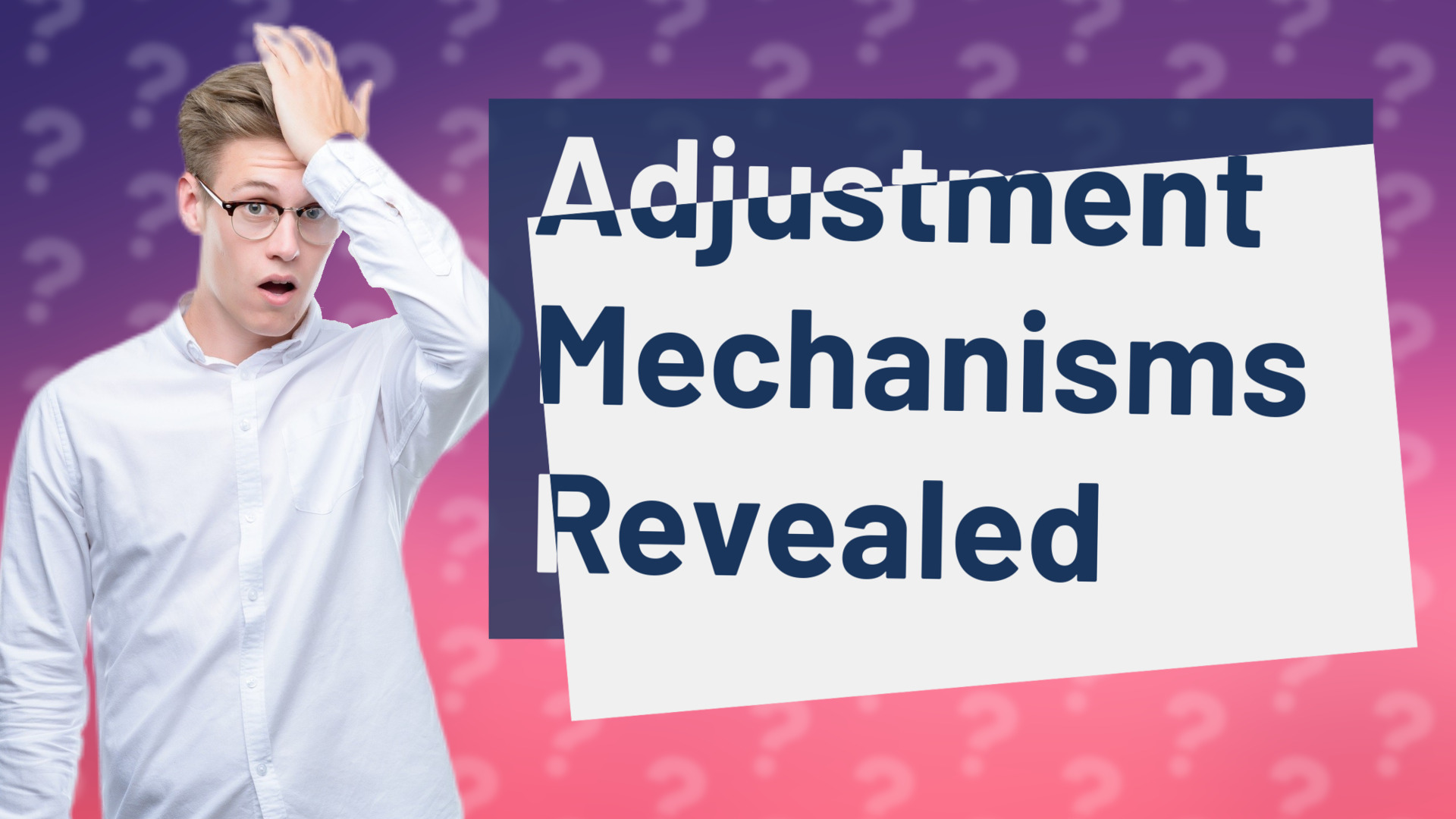 Adjustment Mechanisms Revealed