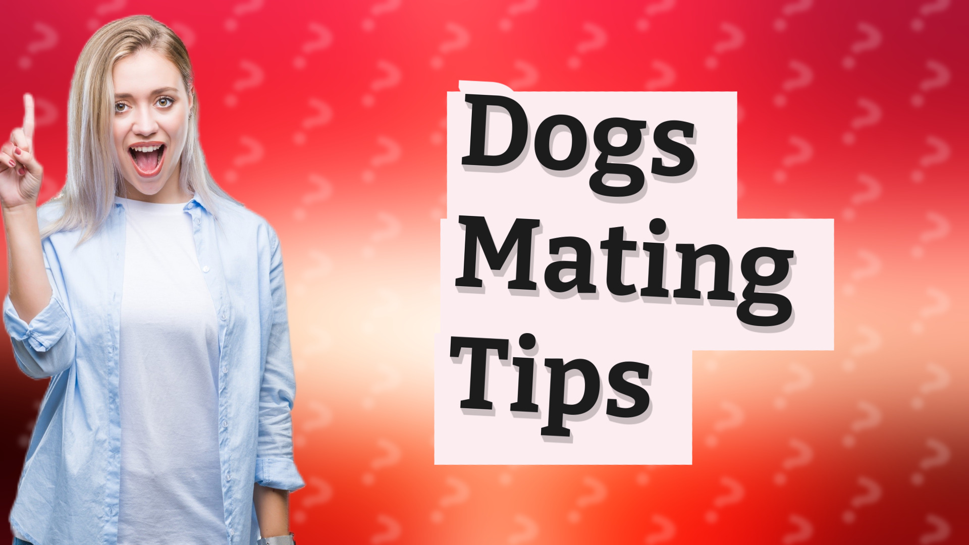 Dogs Mating Tips