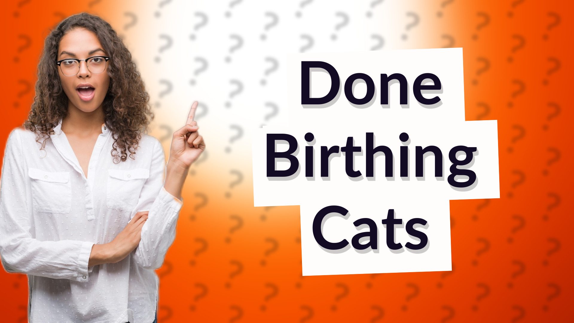 Done Birthing Cats