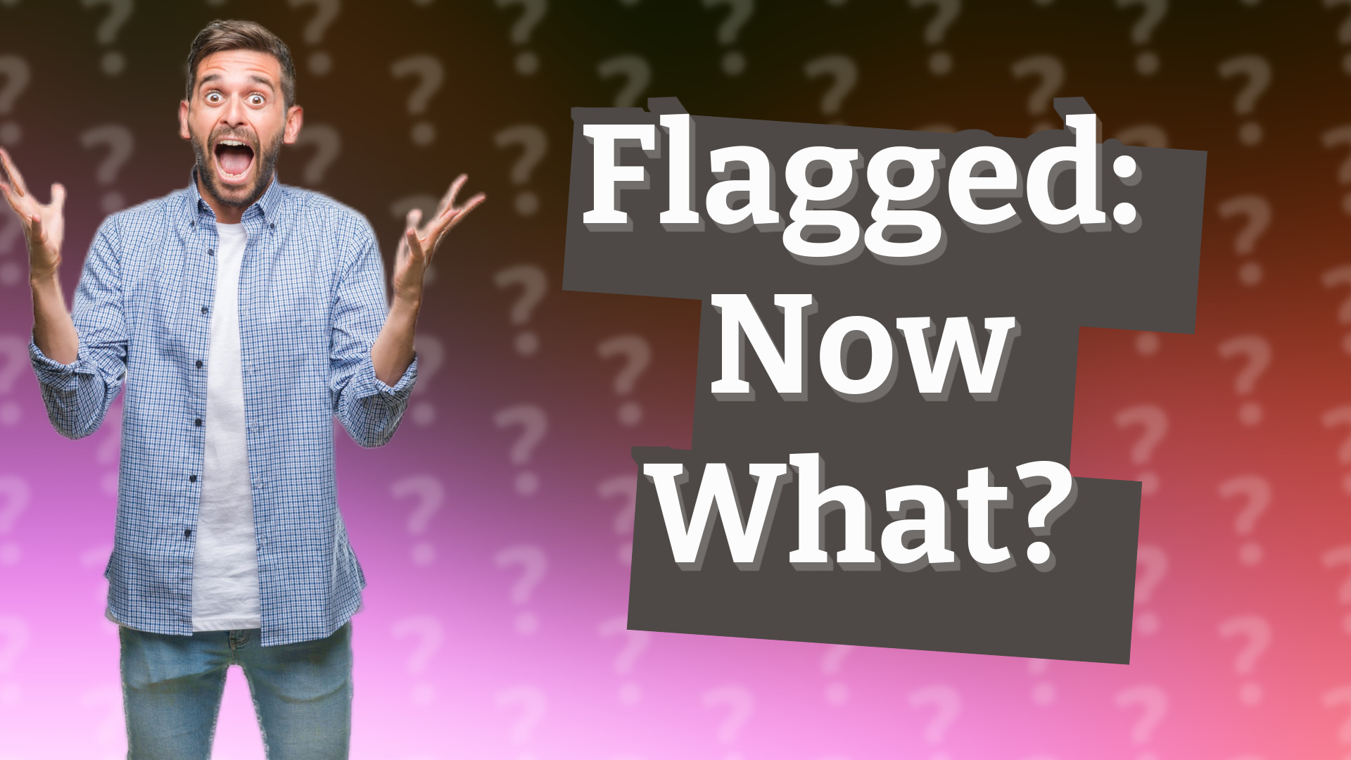 Flagged: Now What?