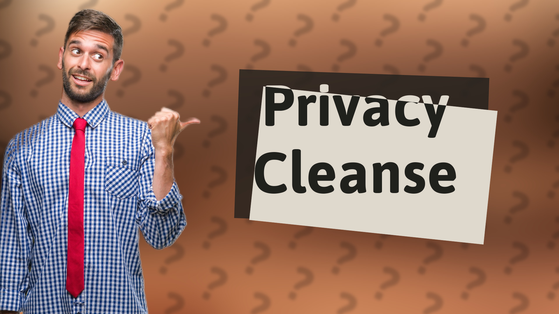 Privacy Cleanse