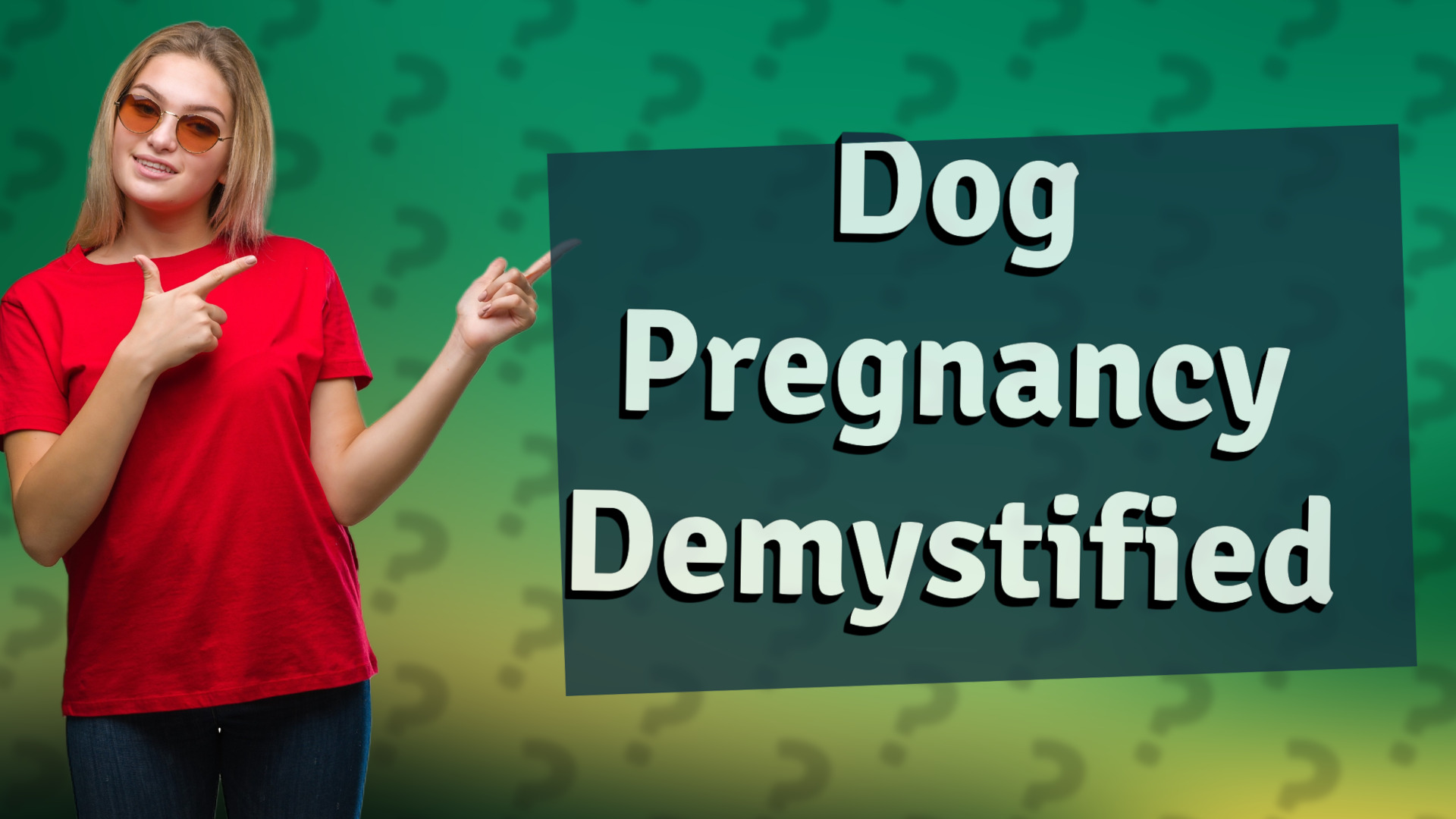 Dog Pregnancy Demystified