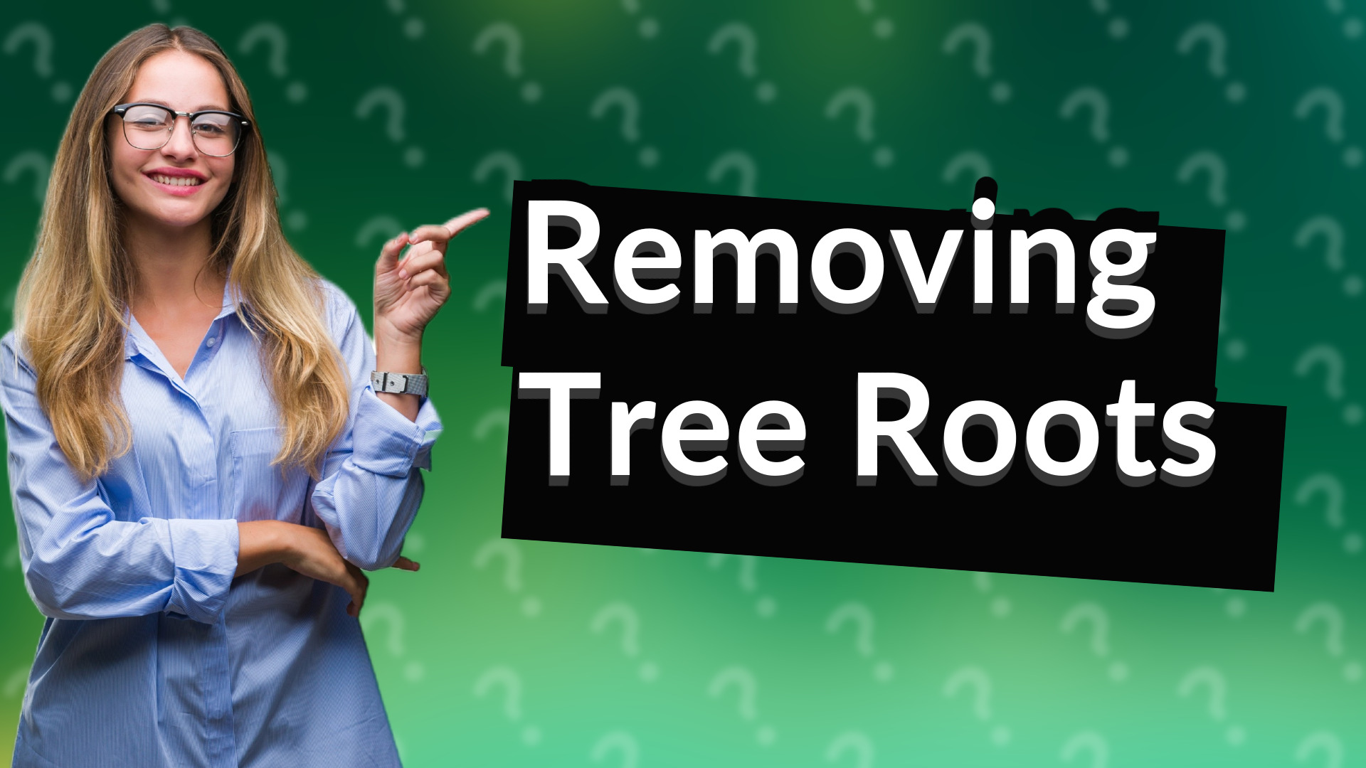 Removing Tree Roots