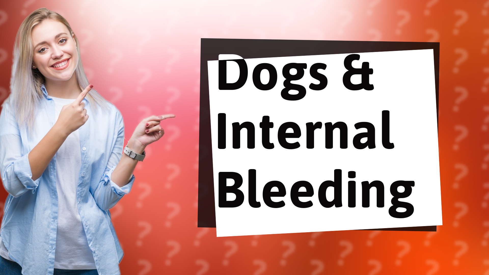 Dogs & Internal Bleeding