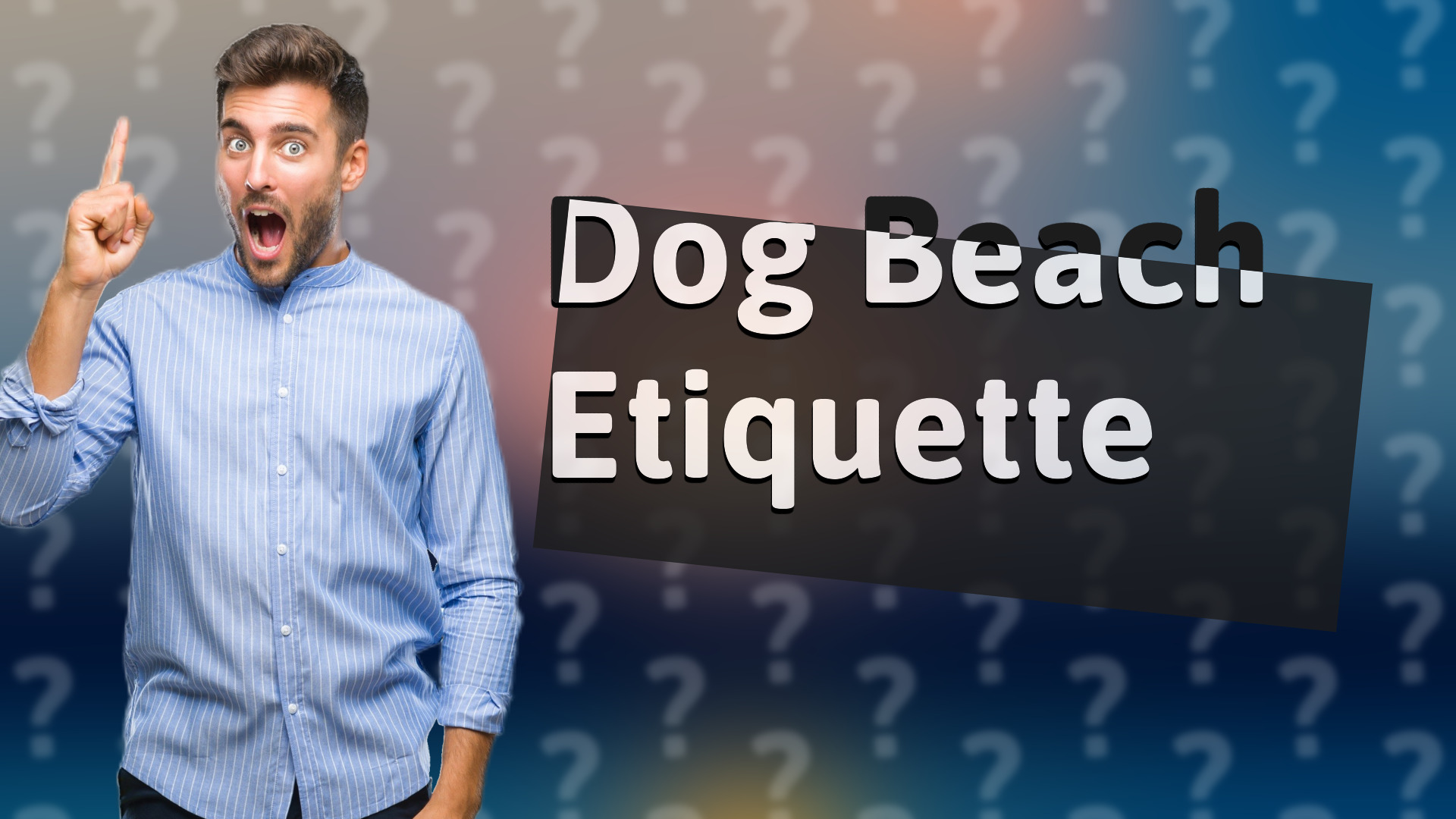 Dog Beach Etiquette