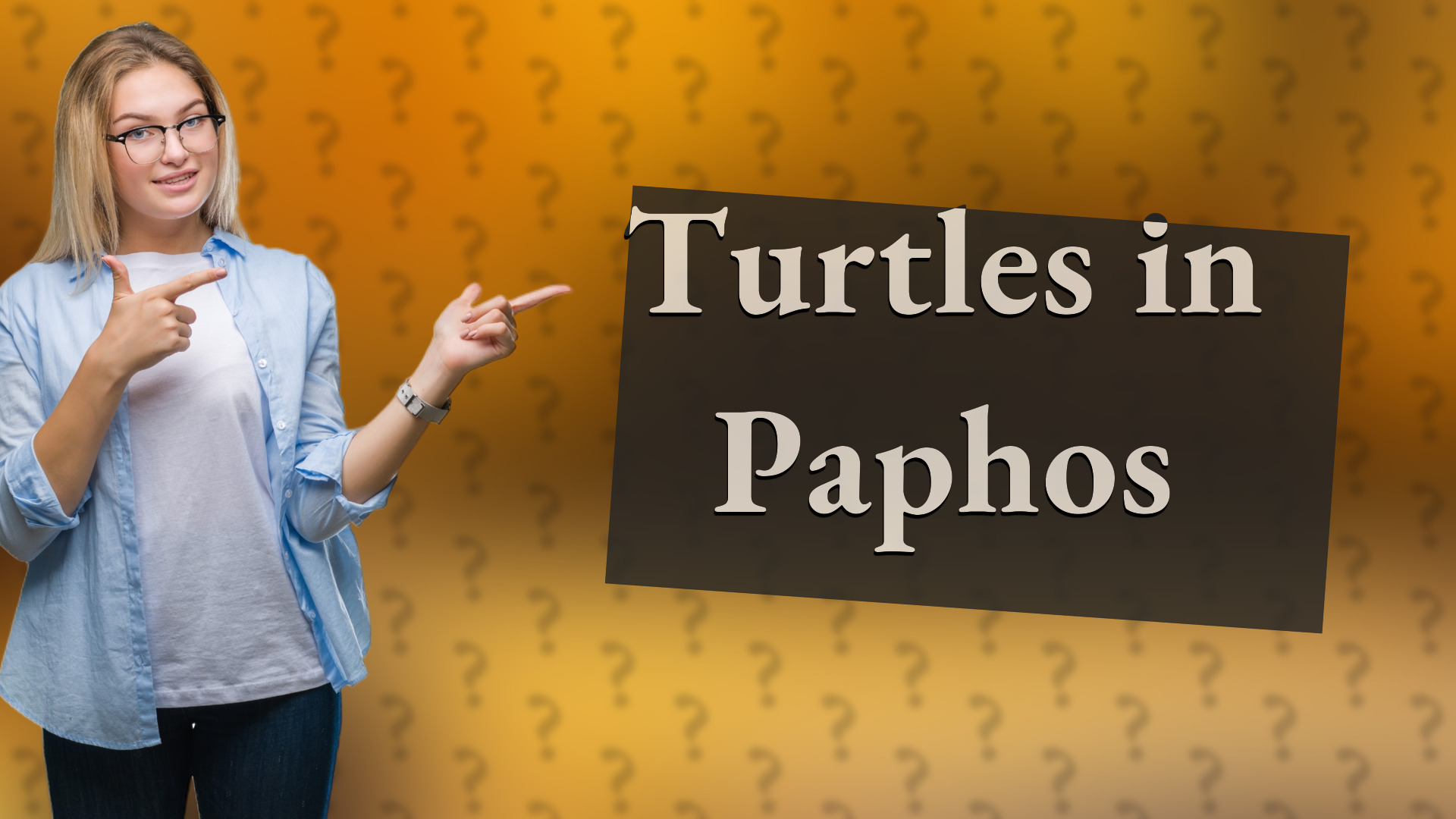 Turtles in Paphos
