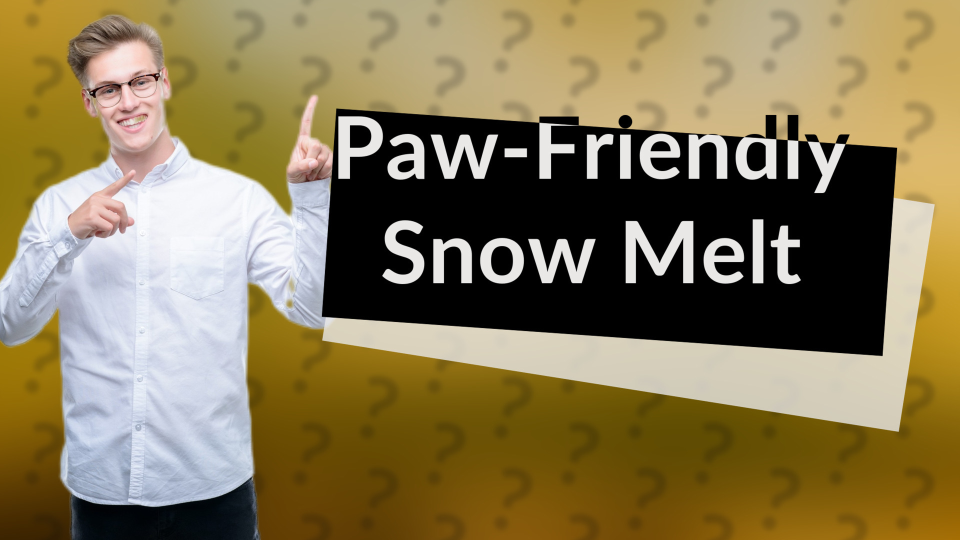 Paw-Friendly Snow Melt
