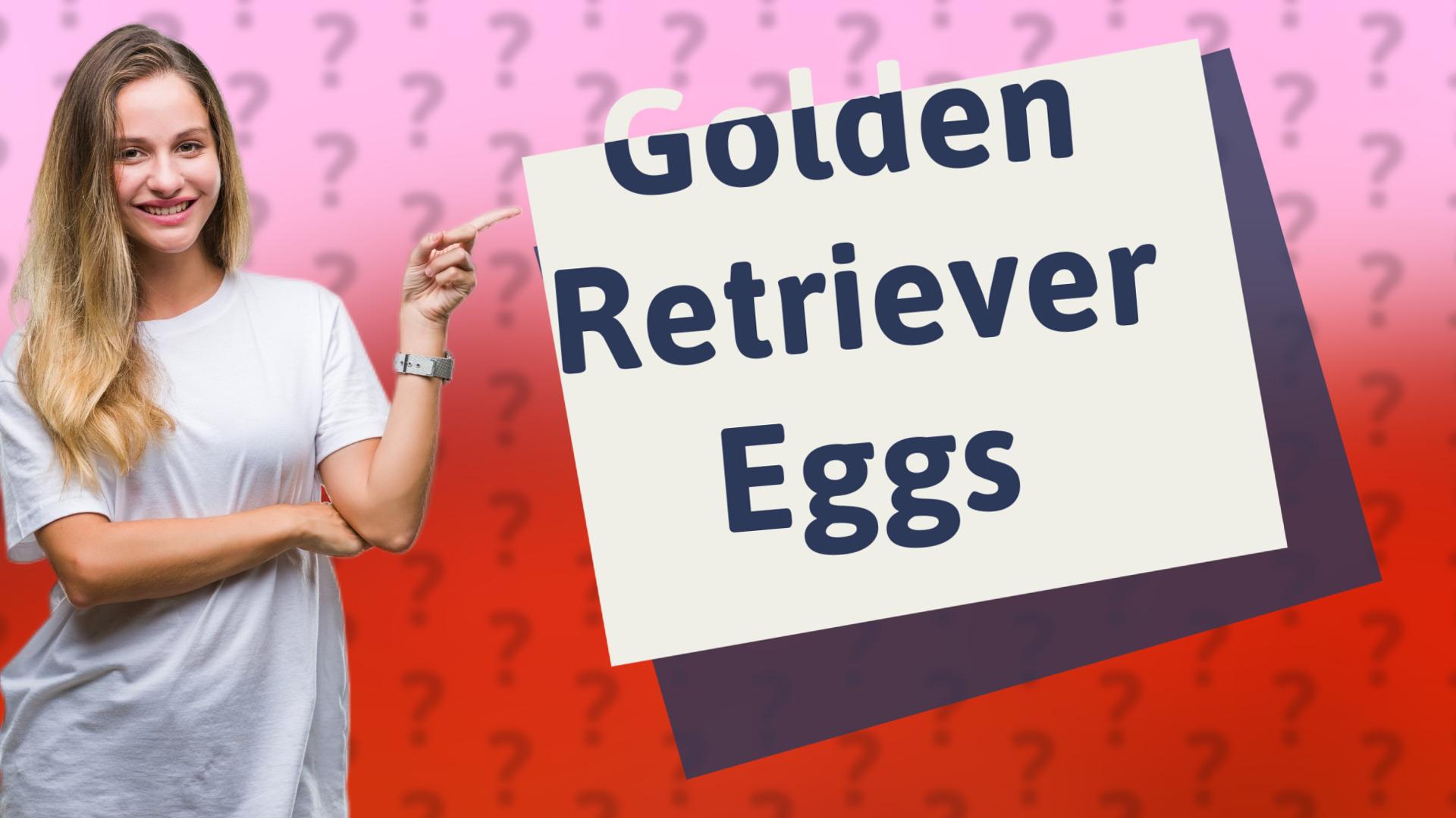 Golden Retriever Eggs