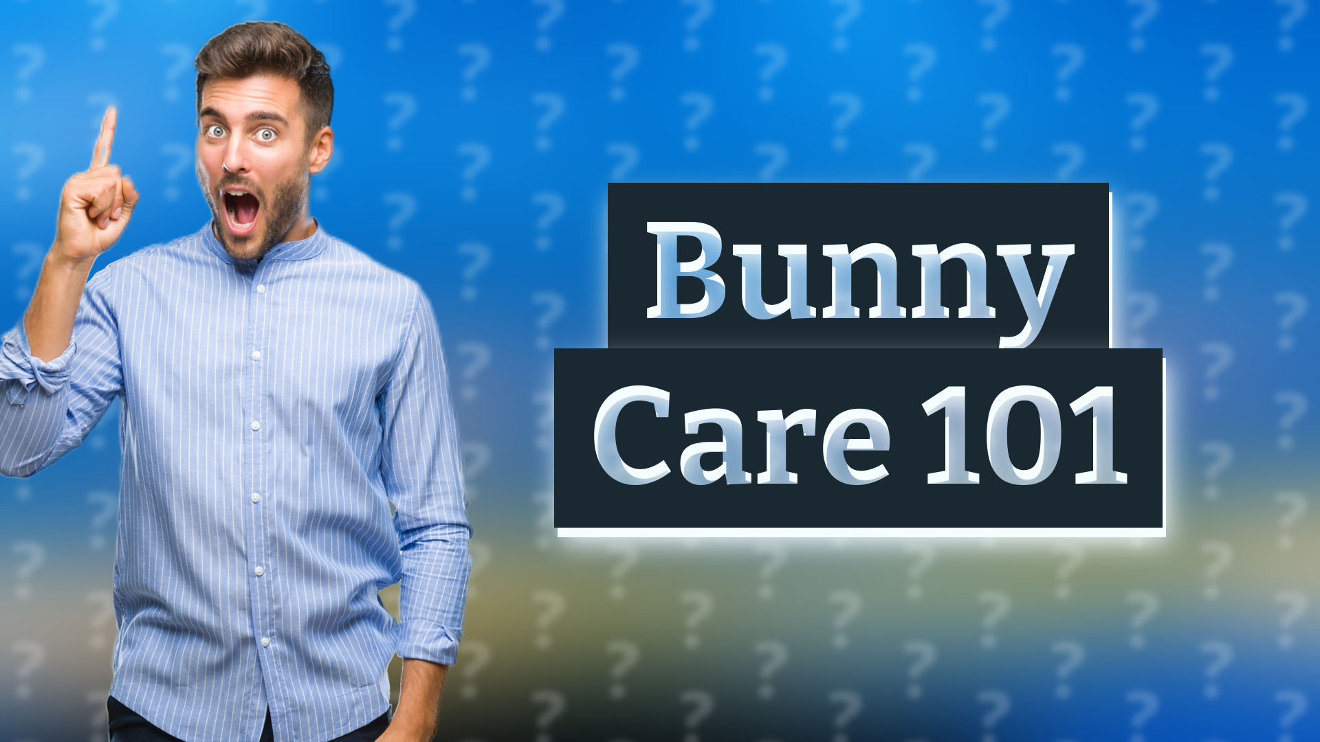 Bunny Care 101
