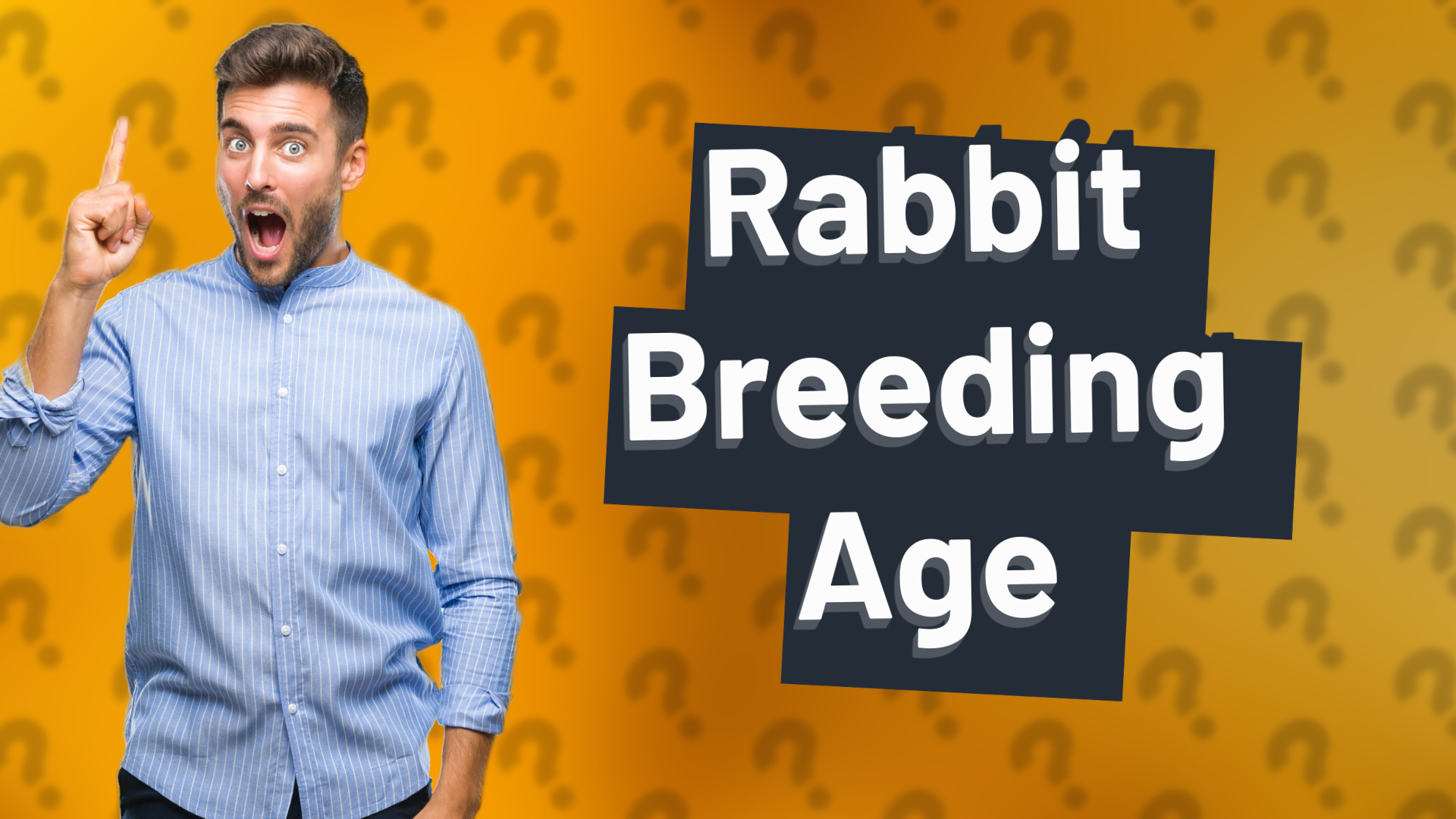 Rabbit Breeding Age