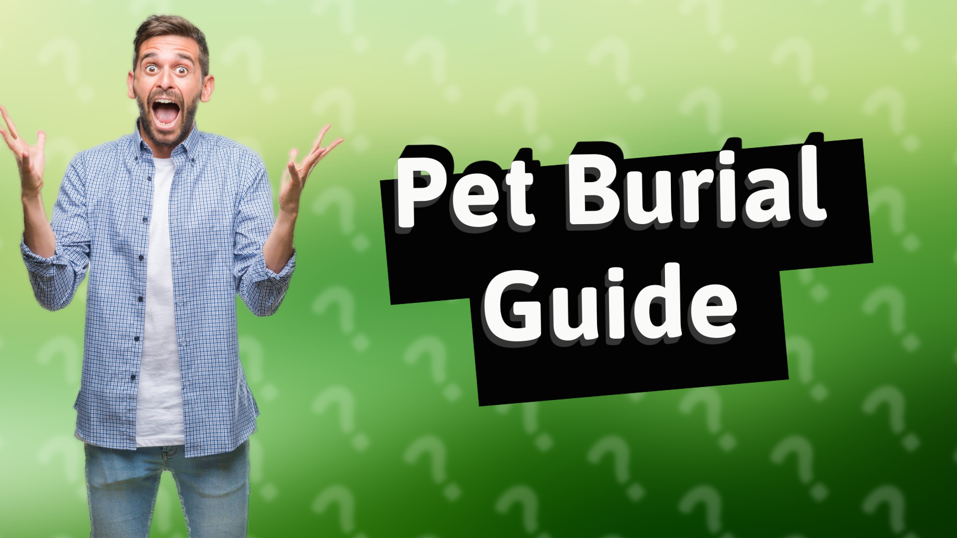 Pet Burial Guide