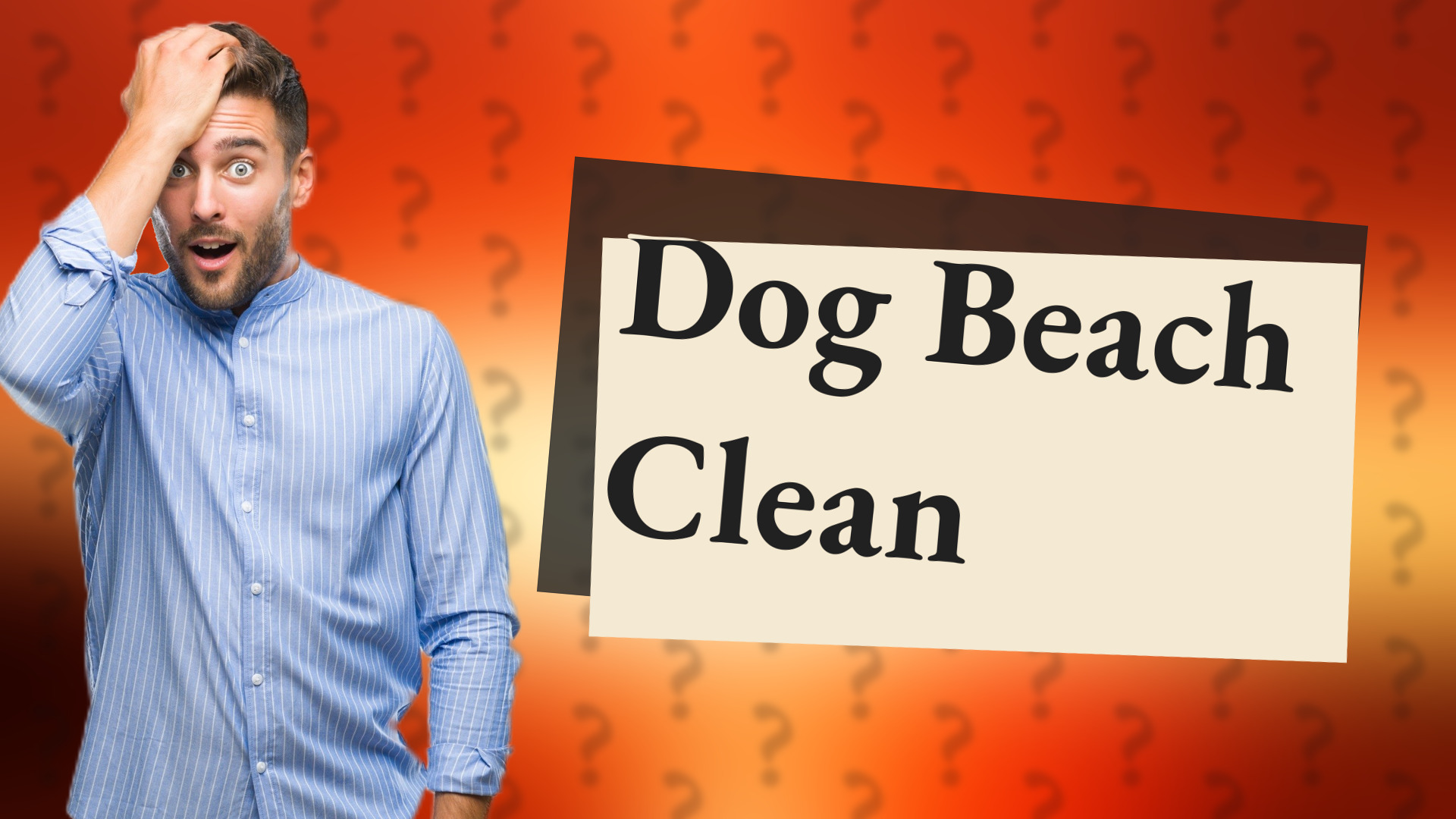 Dog Beach Clean