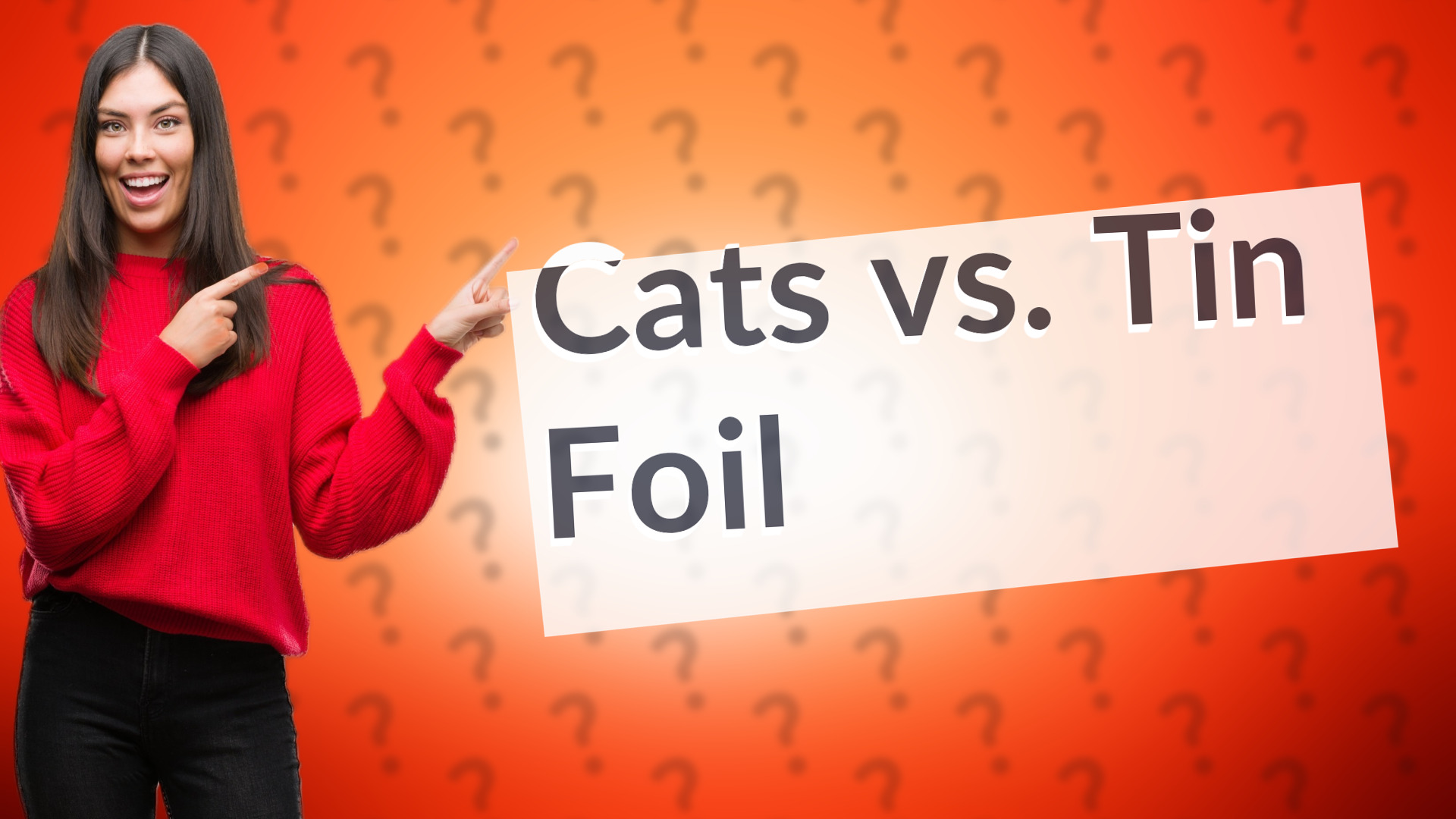 Cats vs. Tin Foil