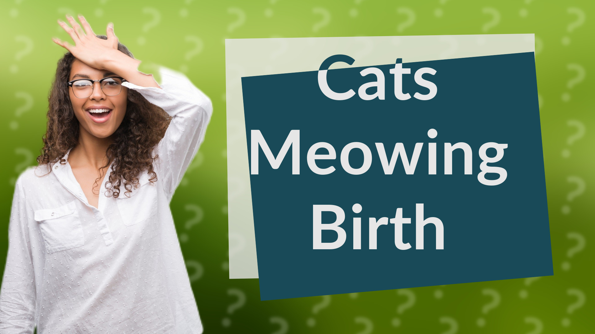 Cats Meowing Birth