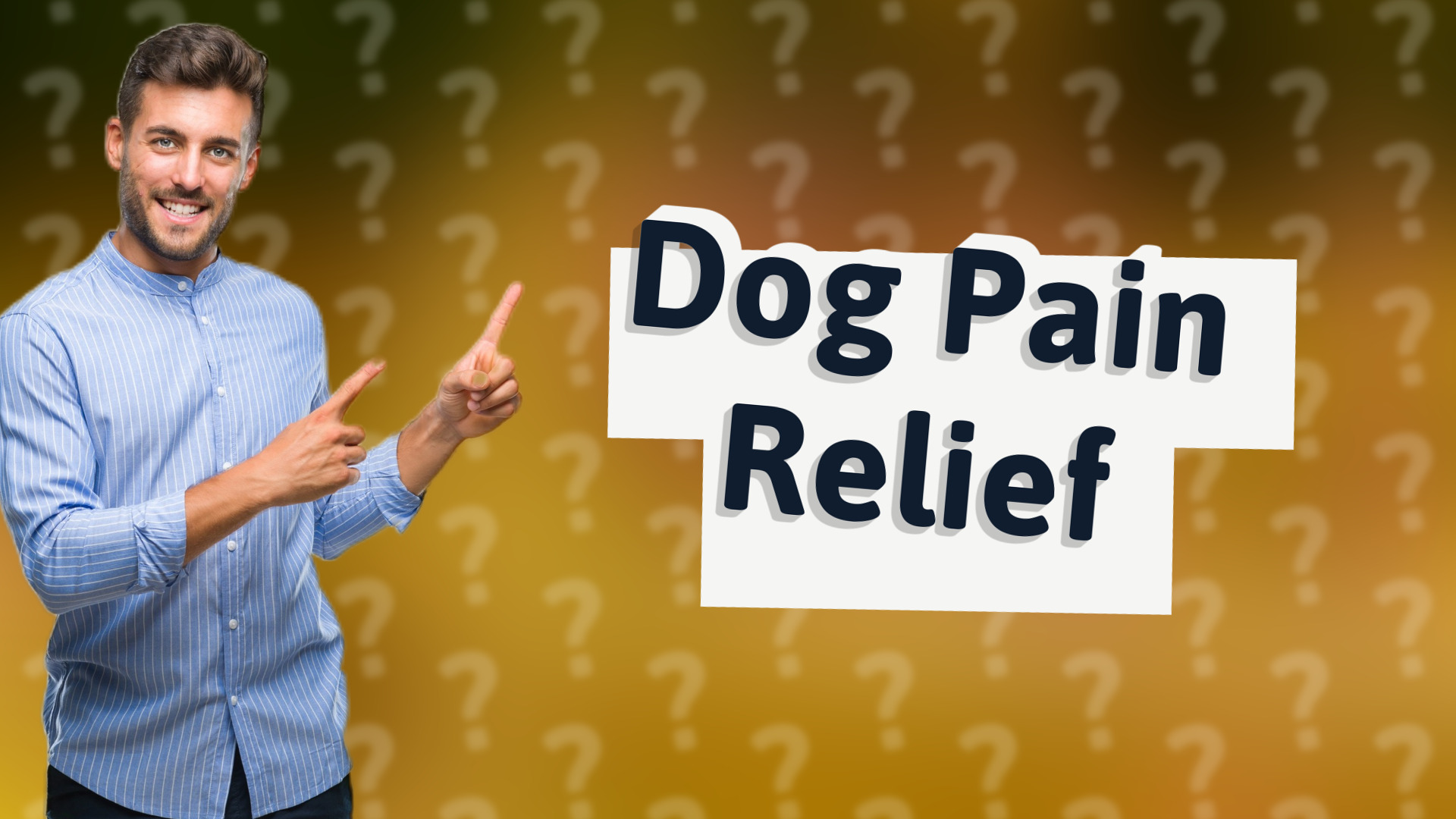 Dog Pain Relief
