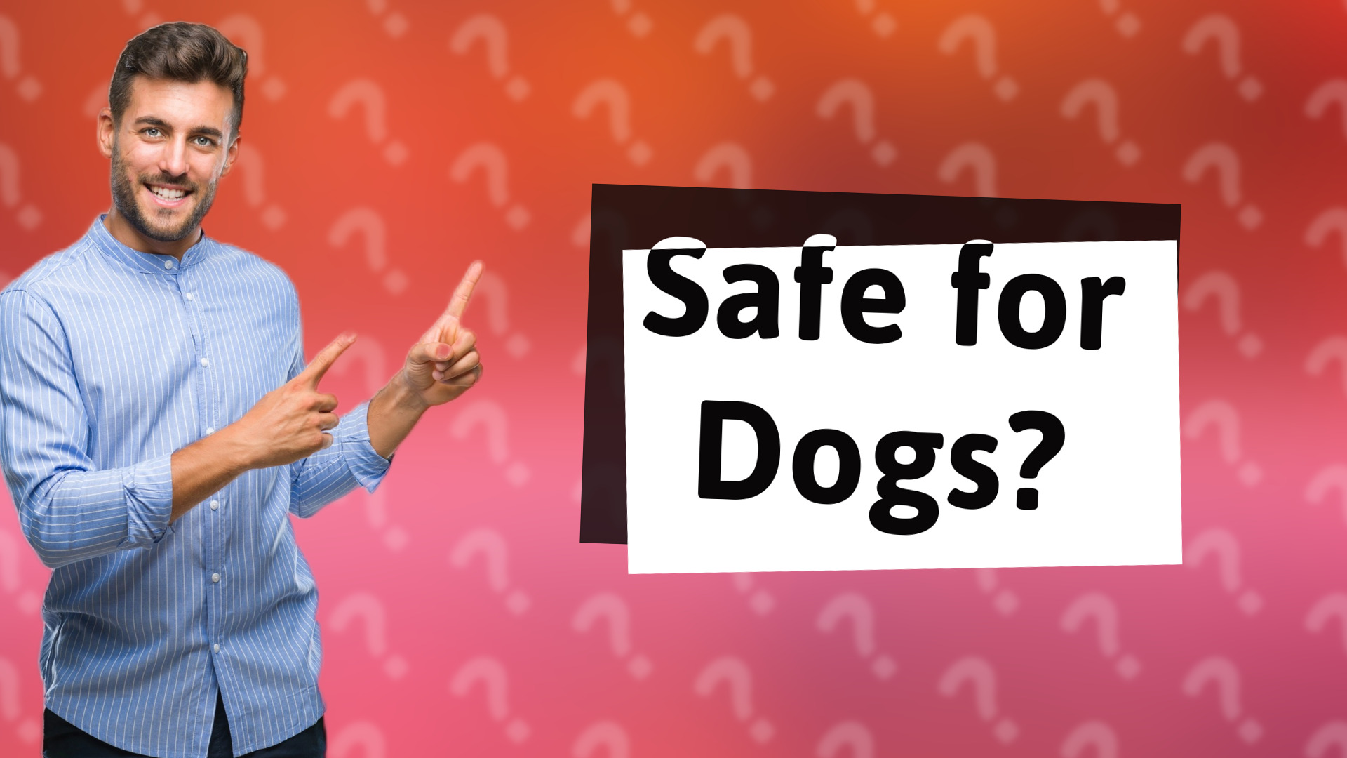 Safe for Dogs?