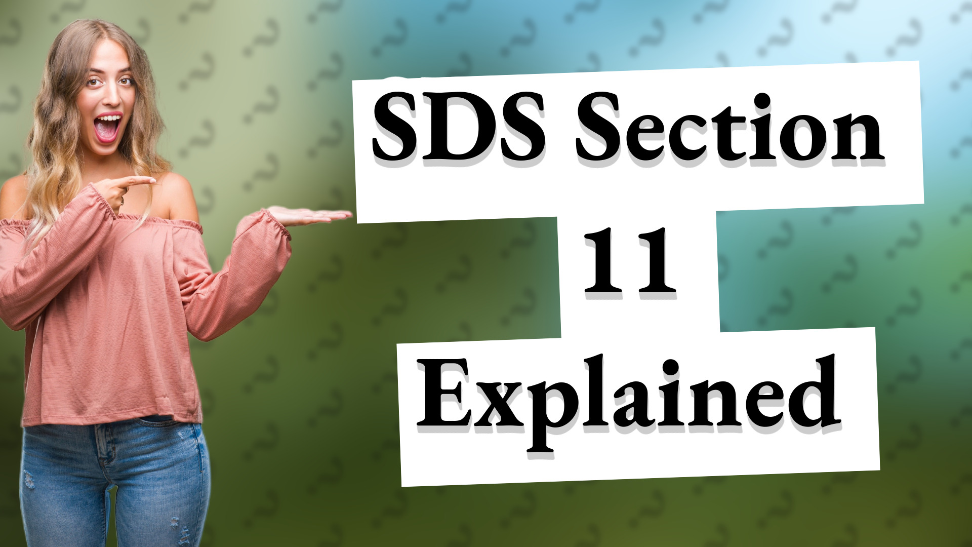 SDS Section 11 Explained