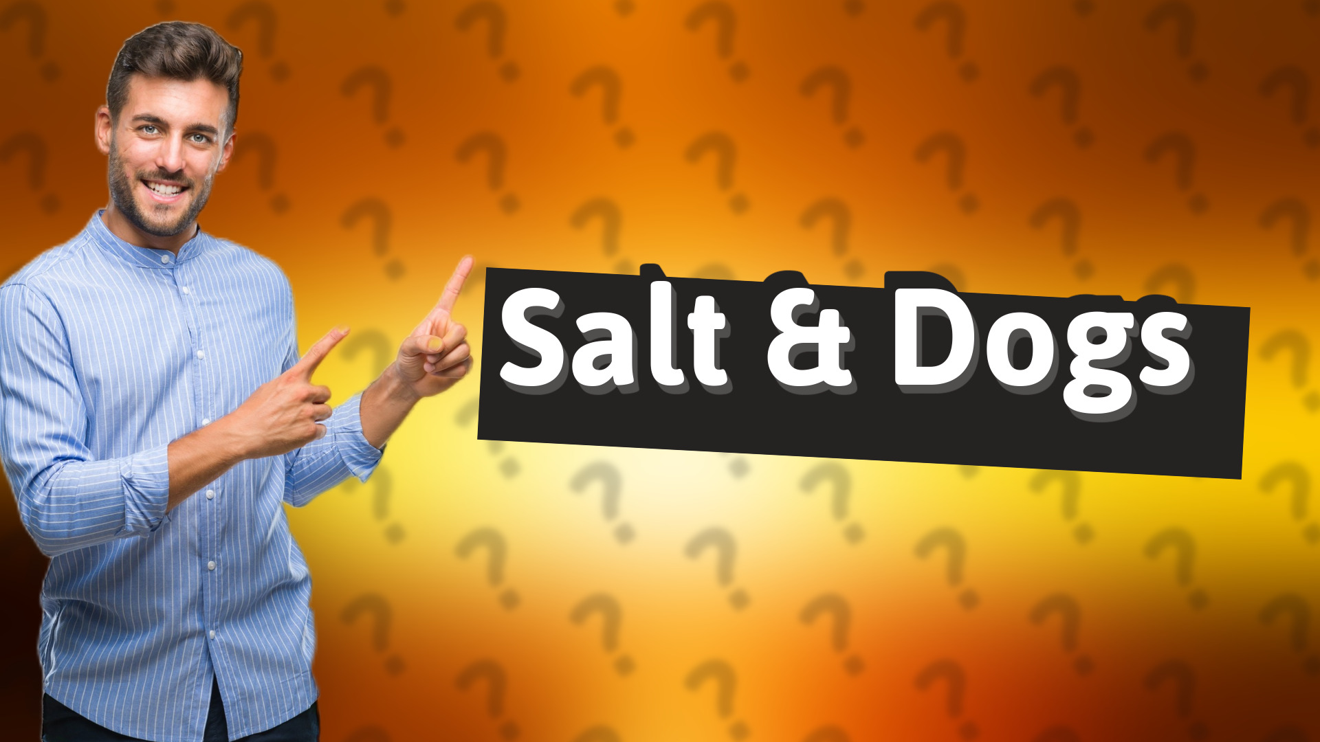 Salt & Dogs