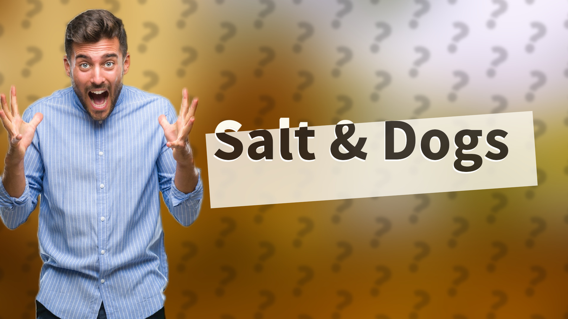 Salt & Dogs