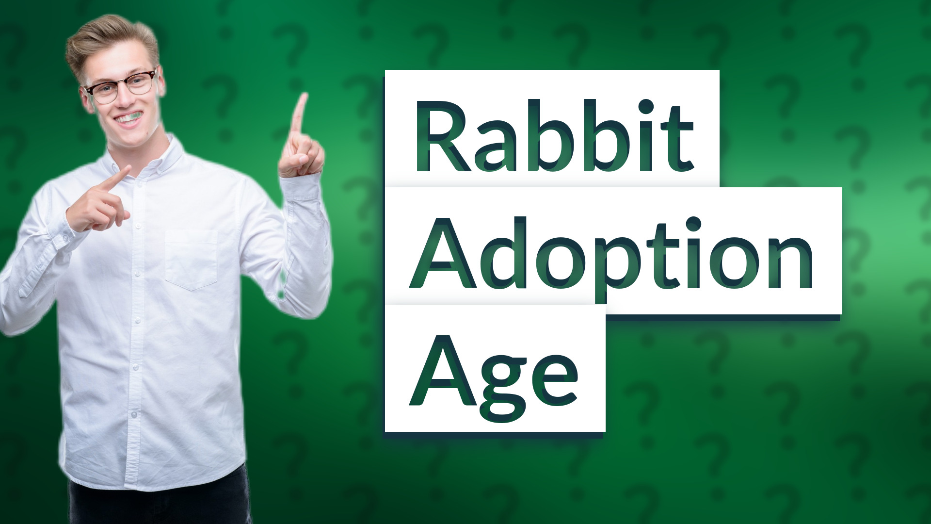 Rabbit Adoption Age