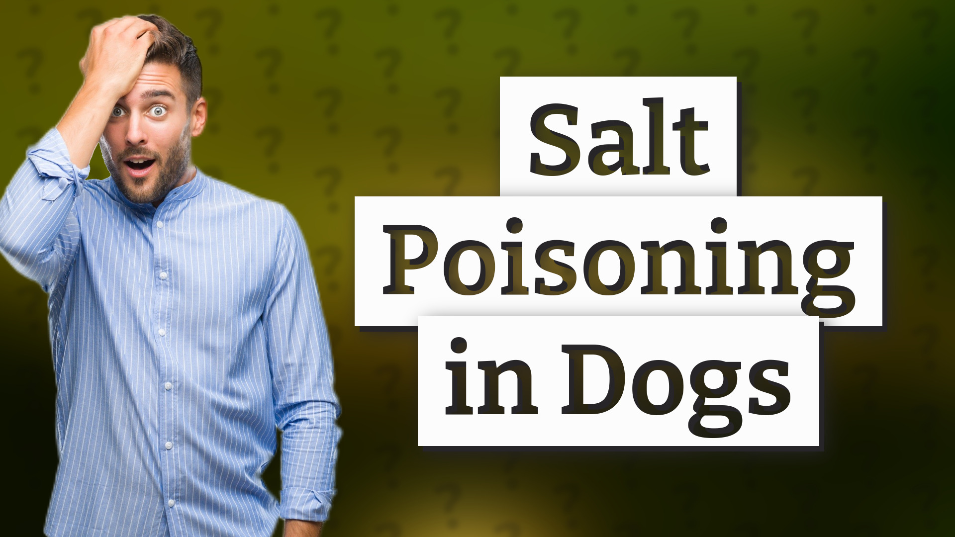 Salt Poisoning in Dogs