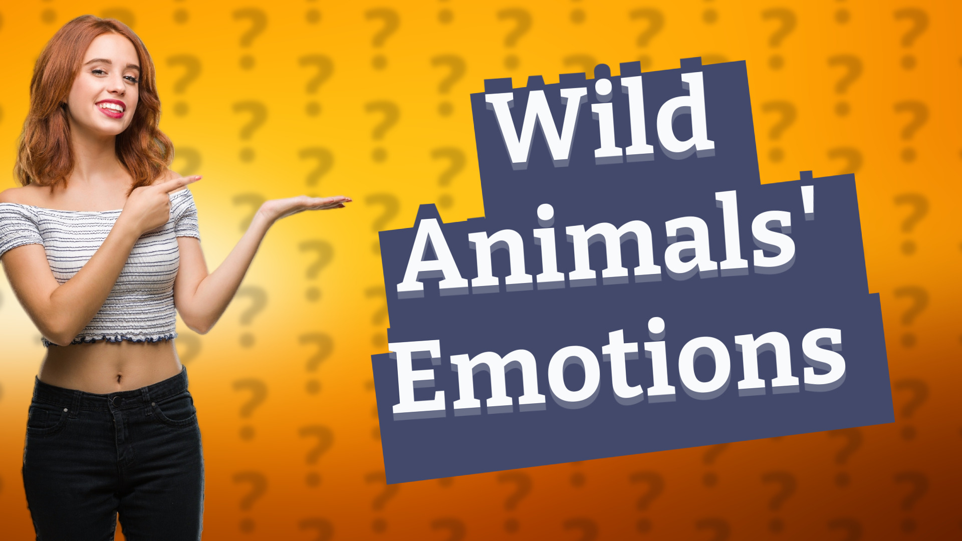 Wild Animals' Emotions