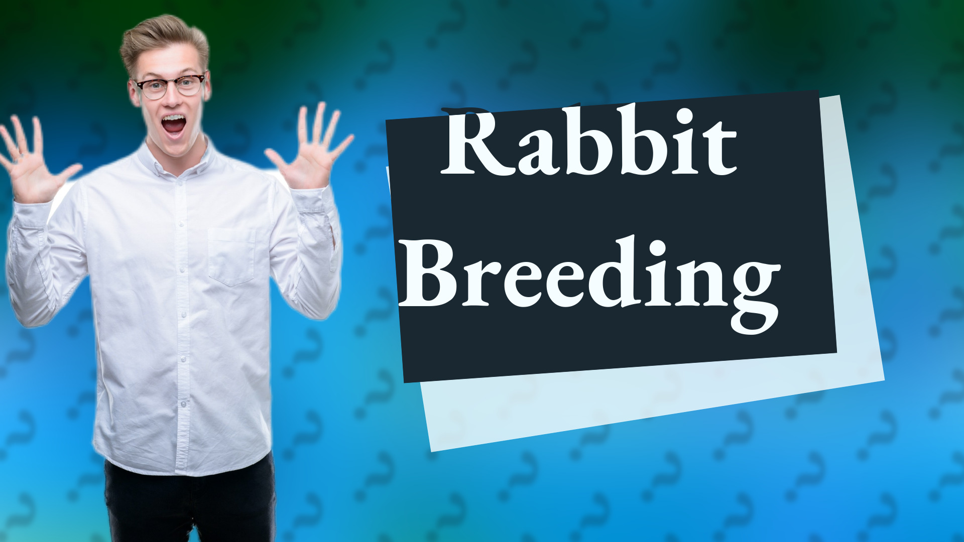 Rabbit Breeding