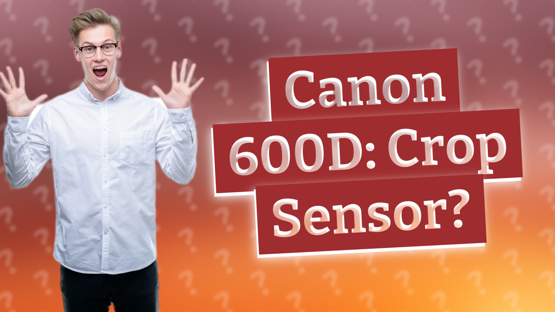 Canon 600D: Crop Sensor?