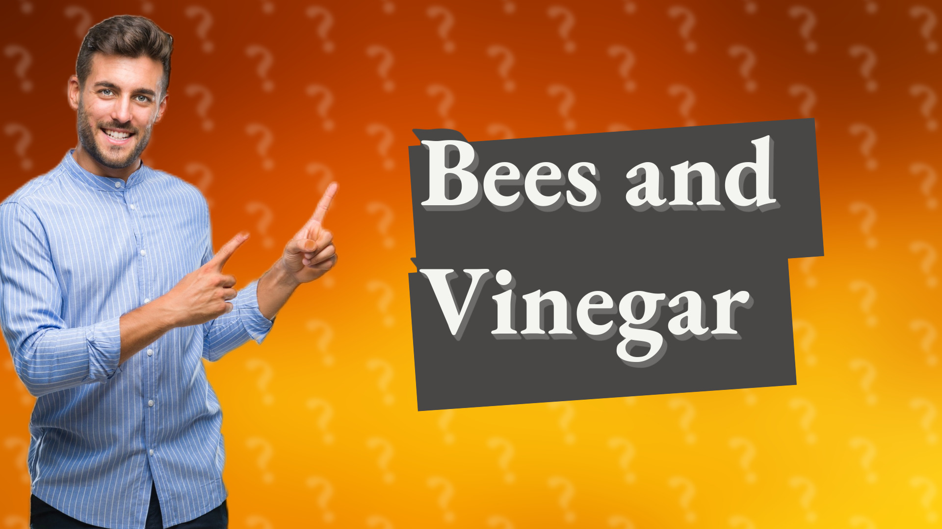 Bees and Vinegar