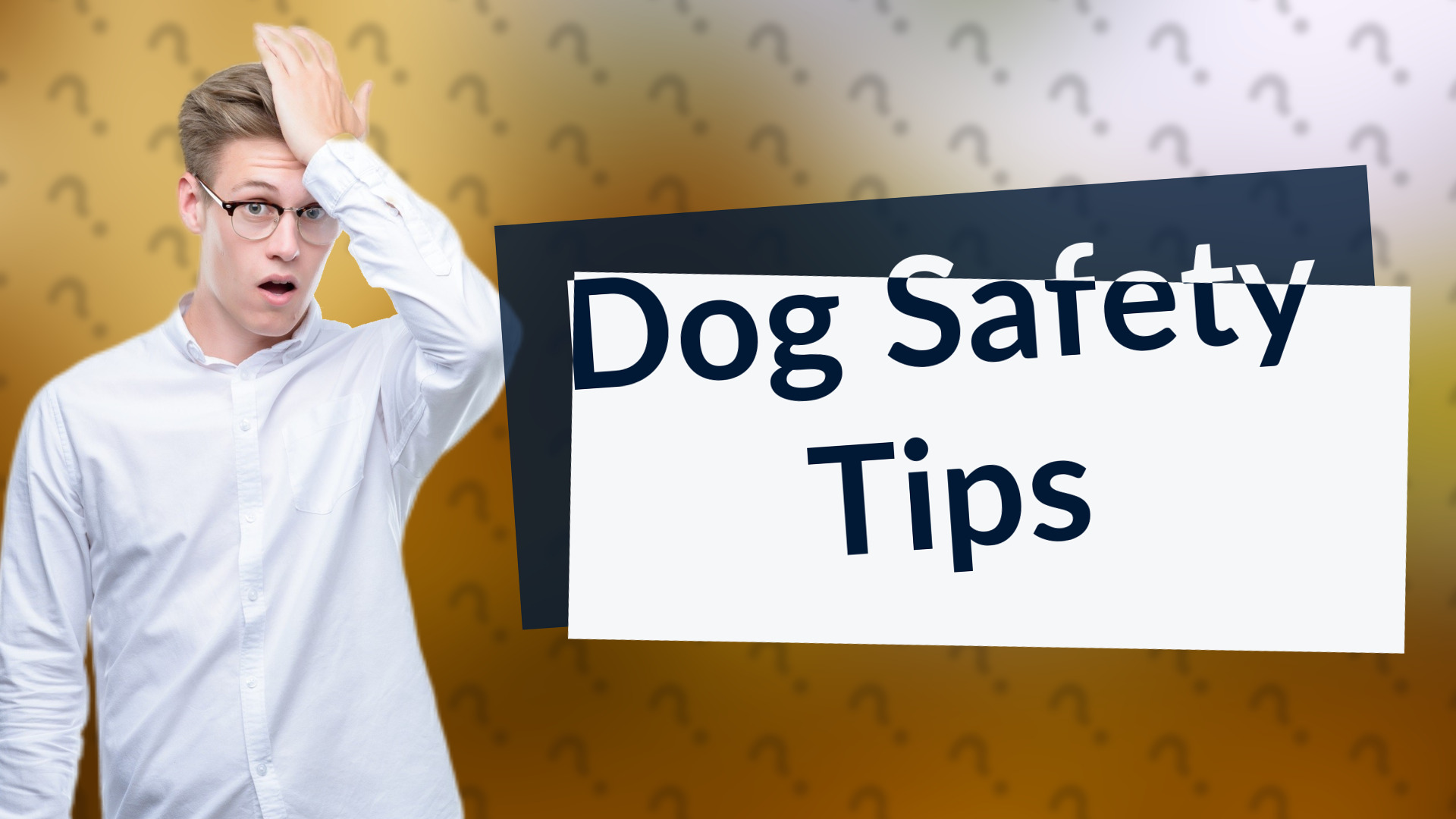 Dog Safety Tips