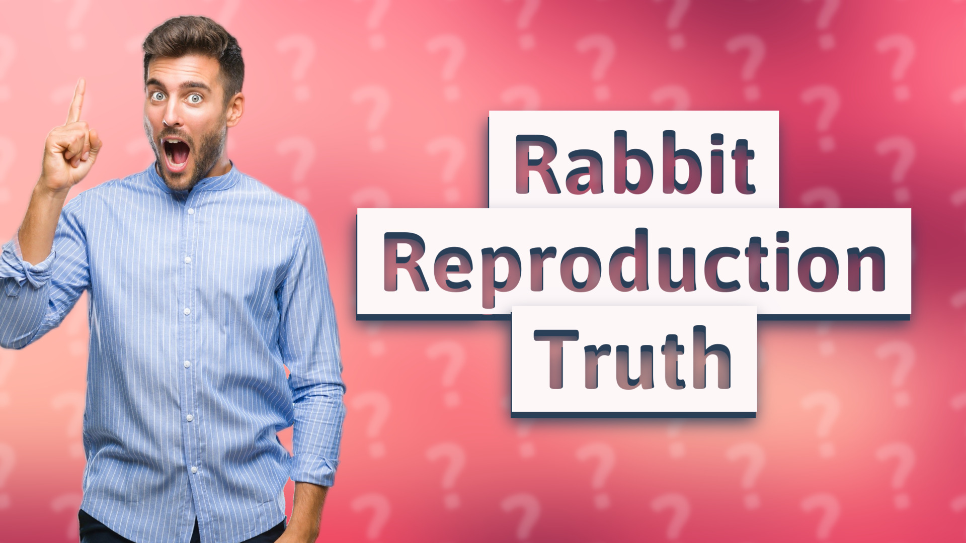 Rabbit Reproduction Truth