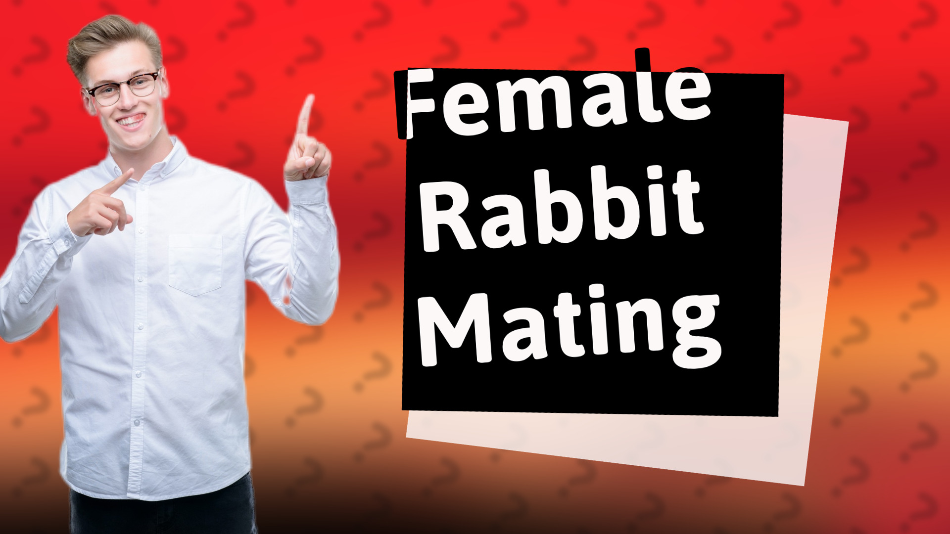 Female Rabbit Mating