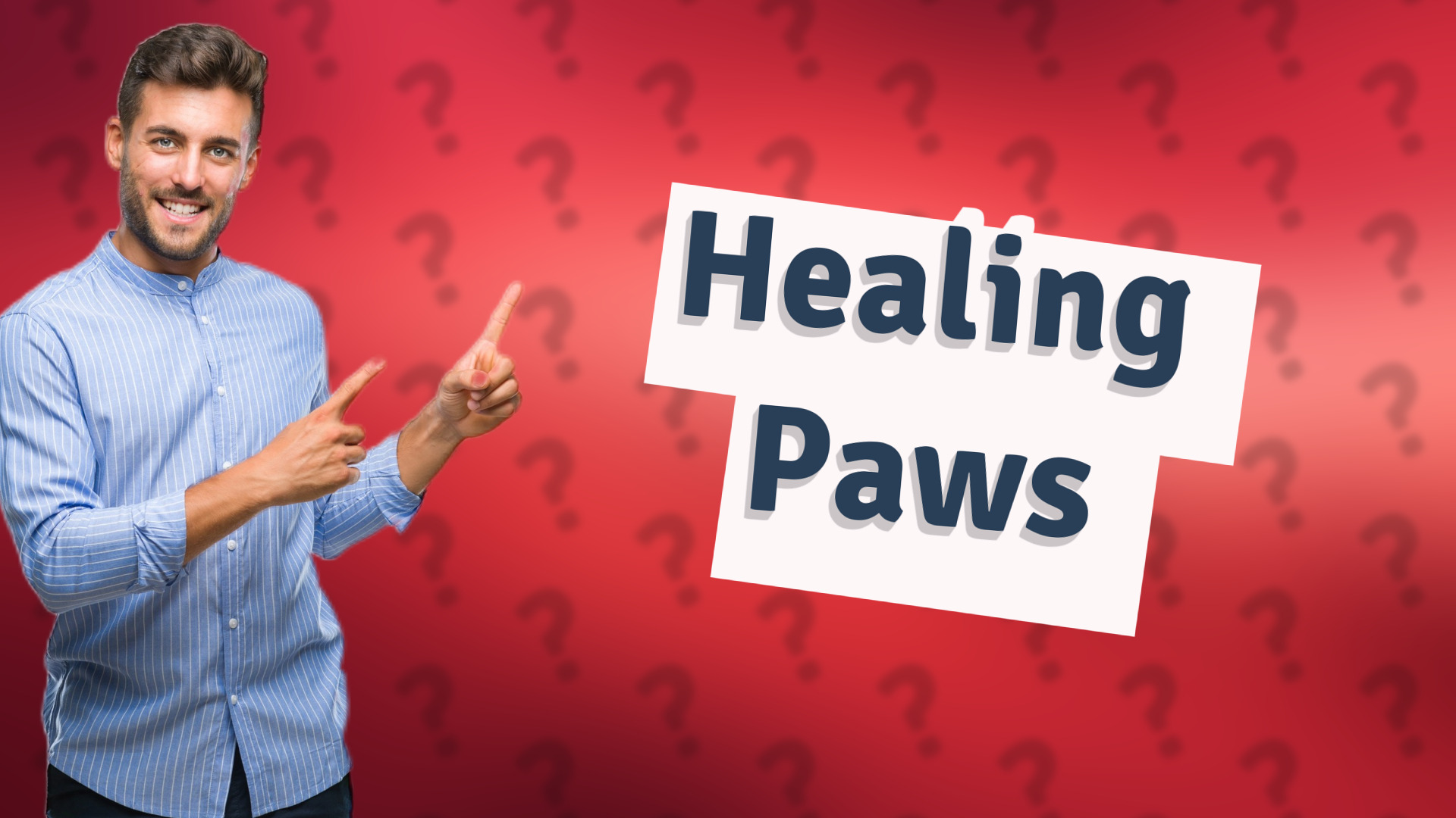 Healing Paws