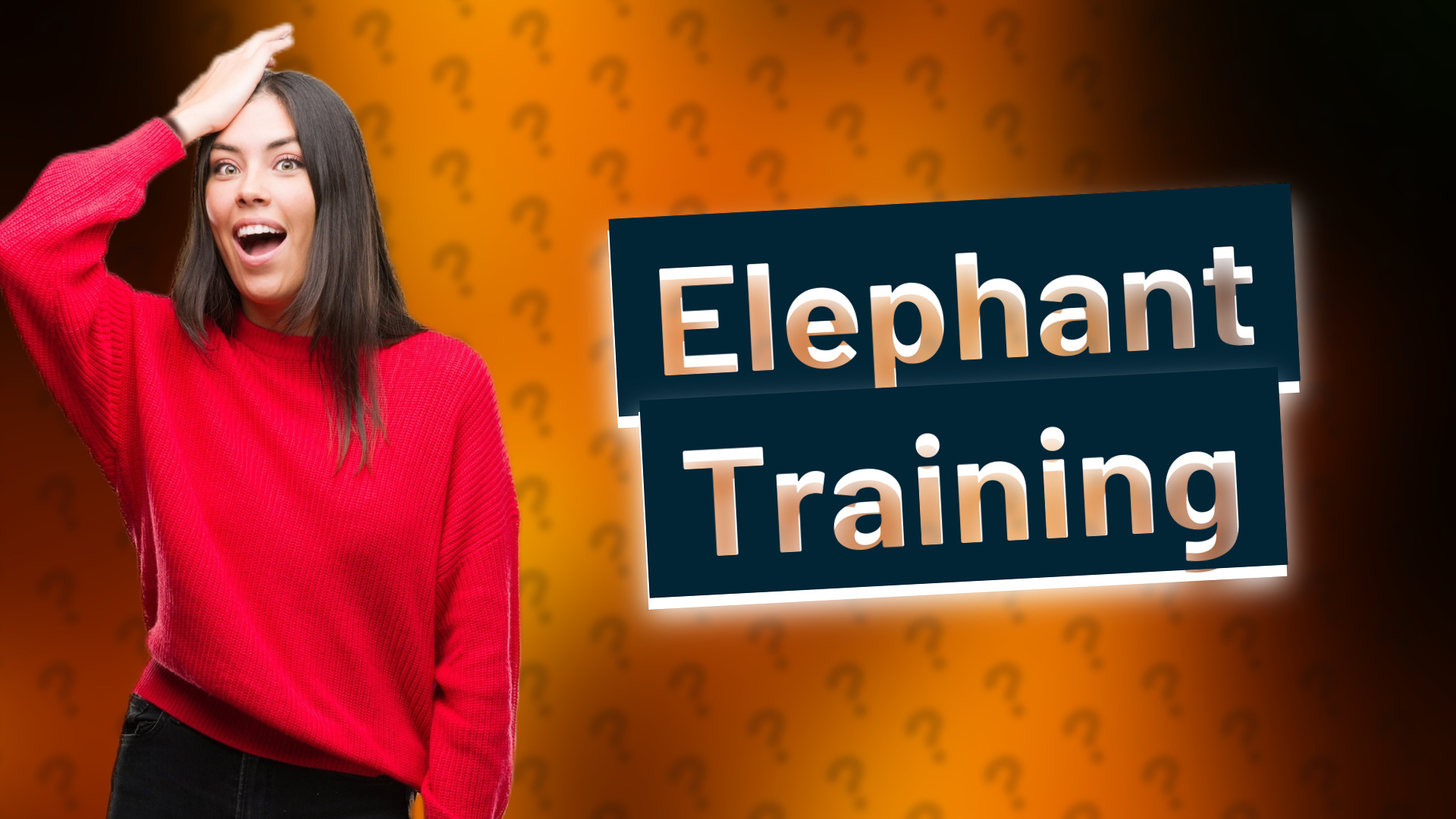 Elephant Training