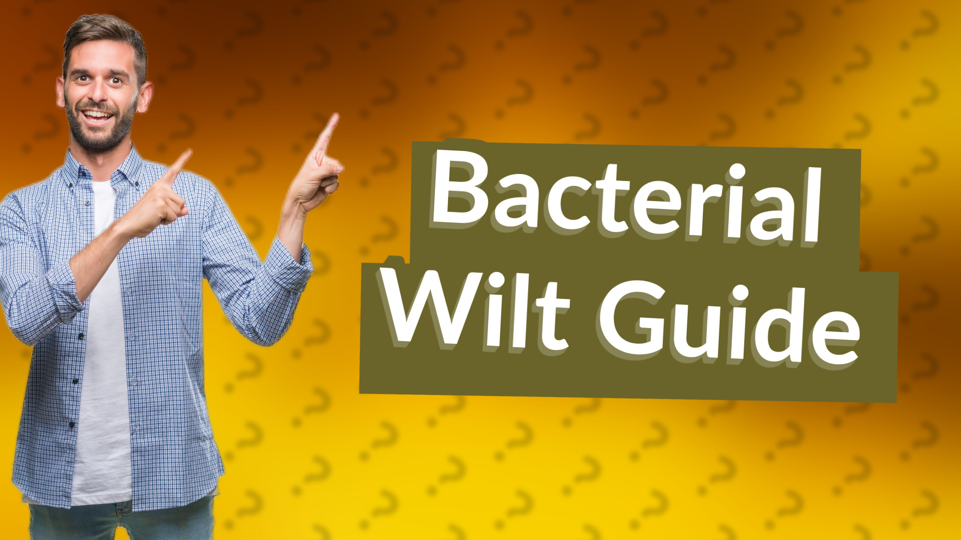 Bacterial Wilt Guide