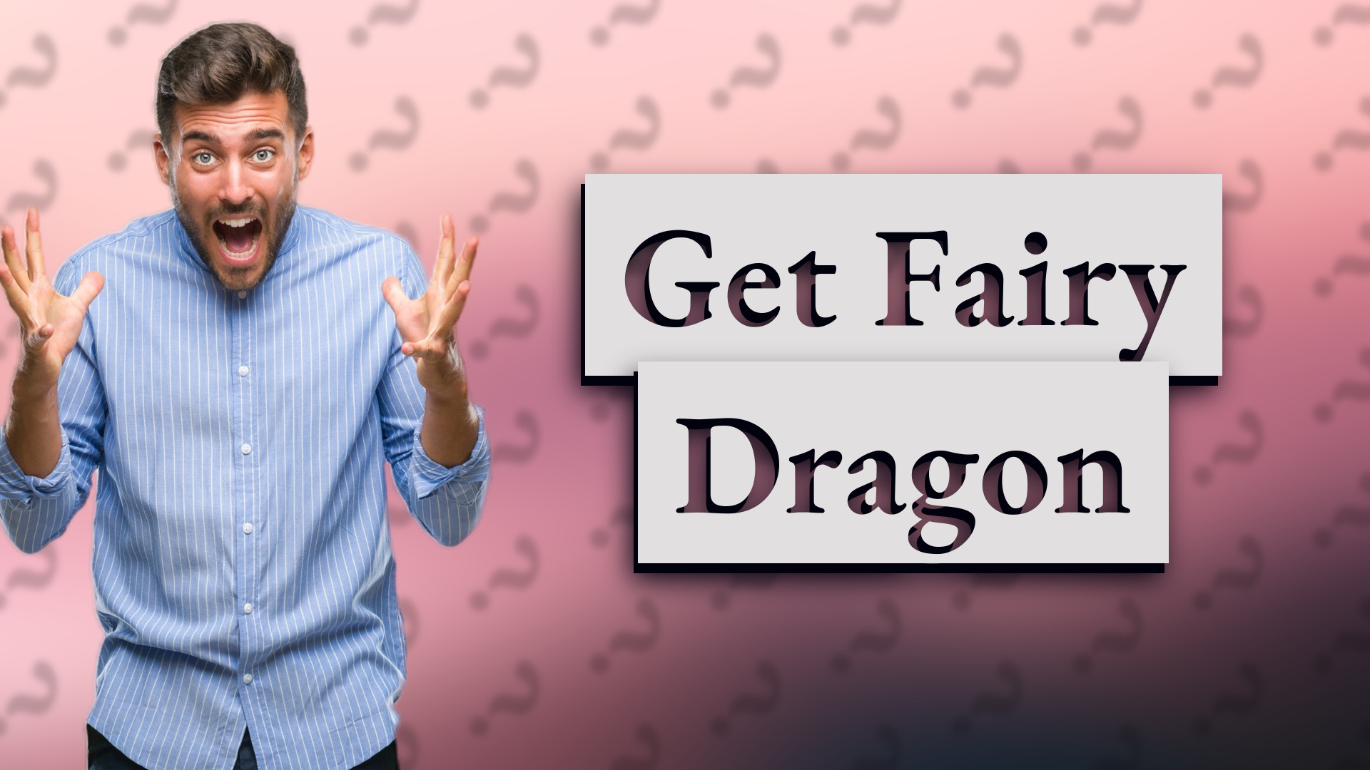 Get Fairy Dragon