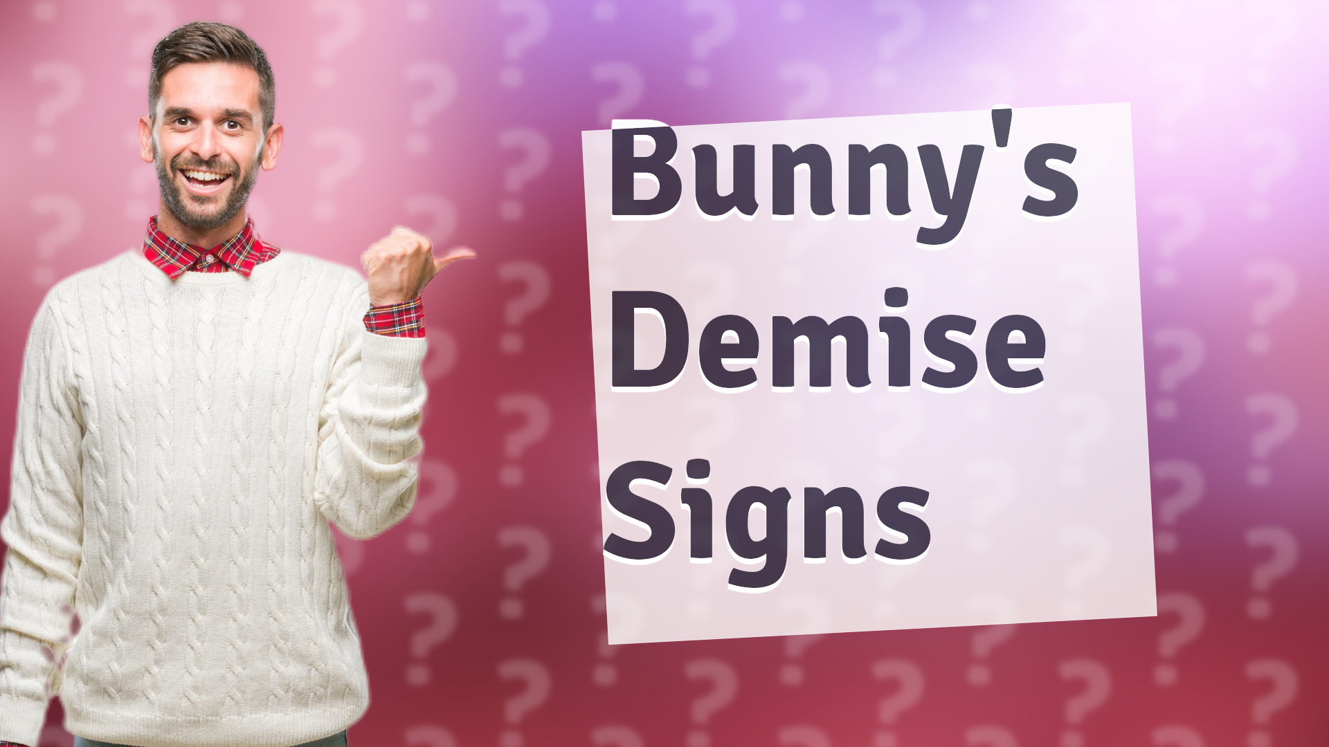 Bunny's Demise Signs