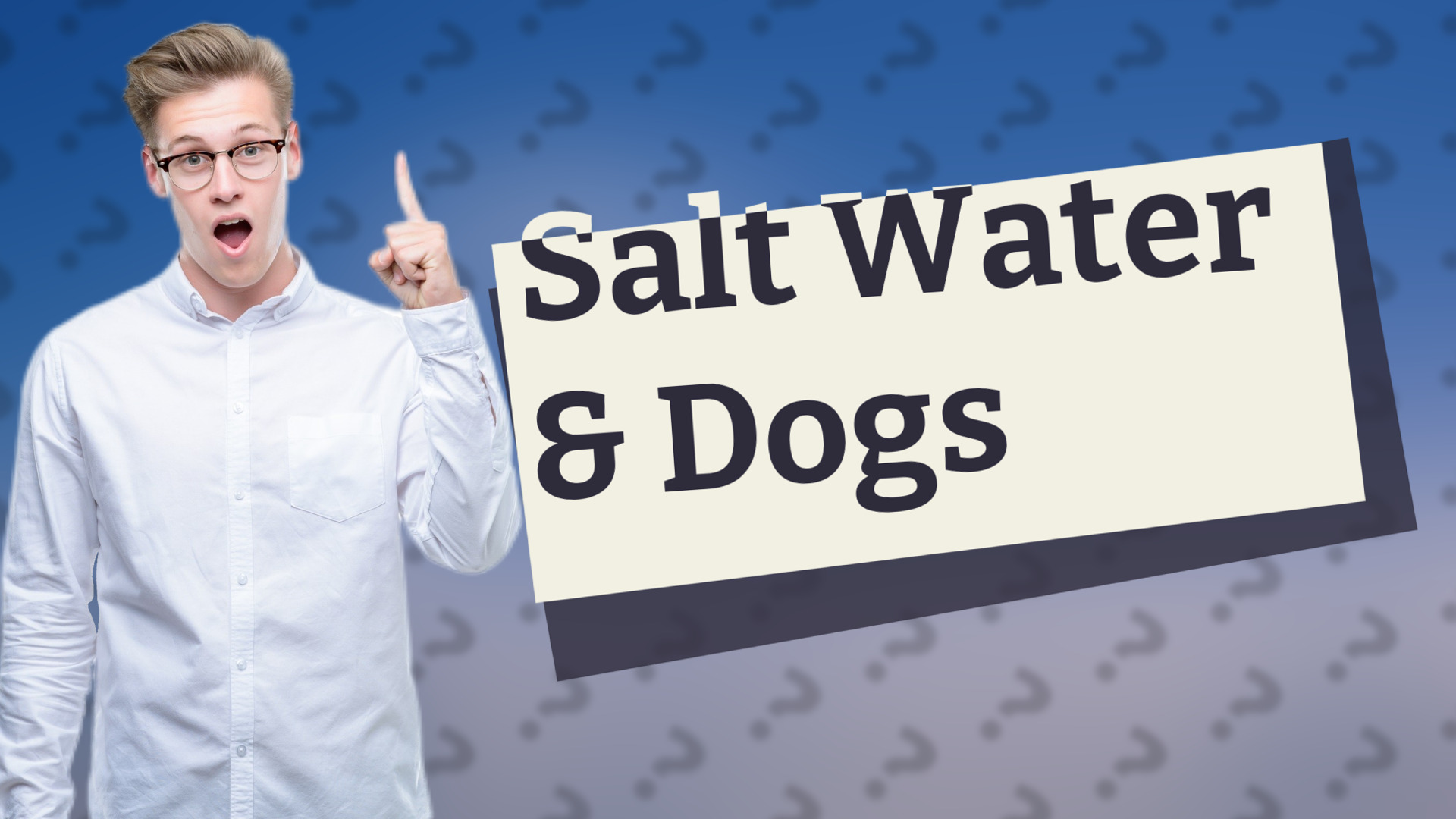 Salt Water & Dogs