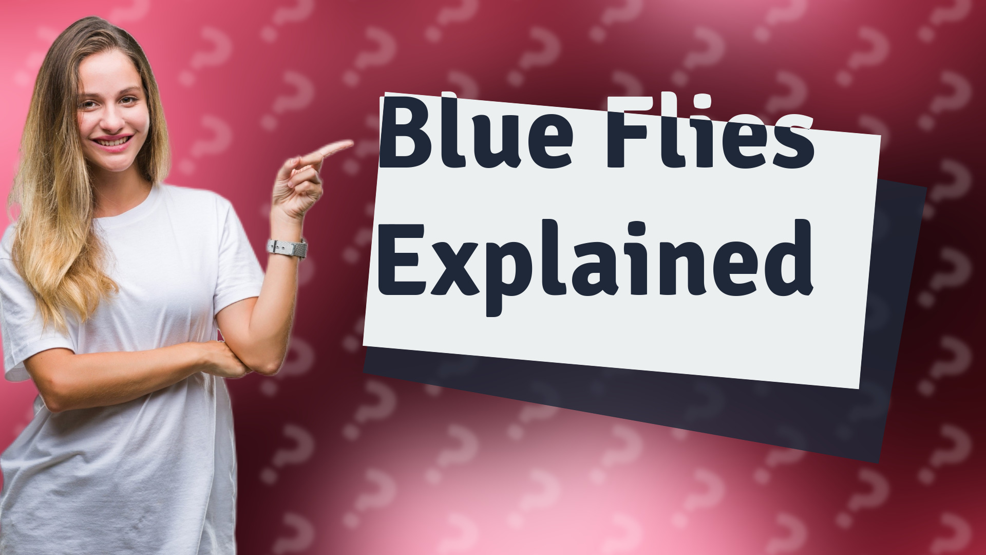 Blue Flies Explained