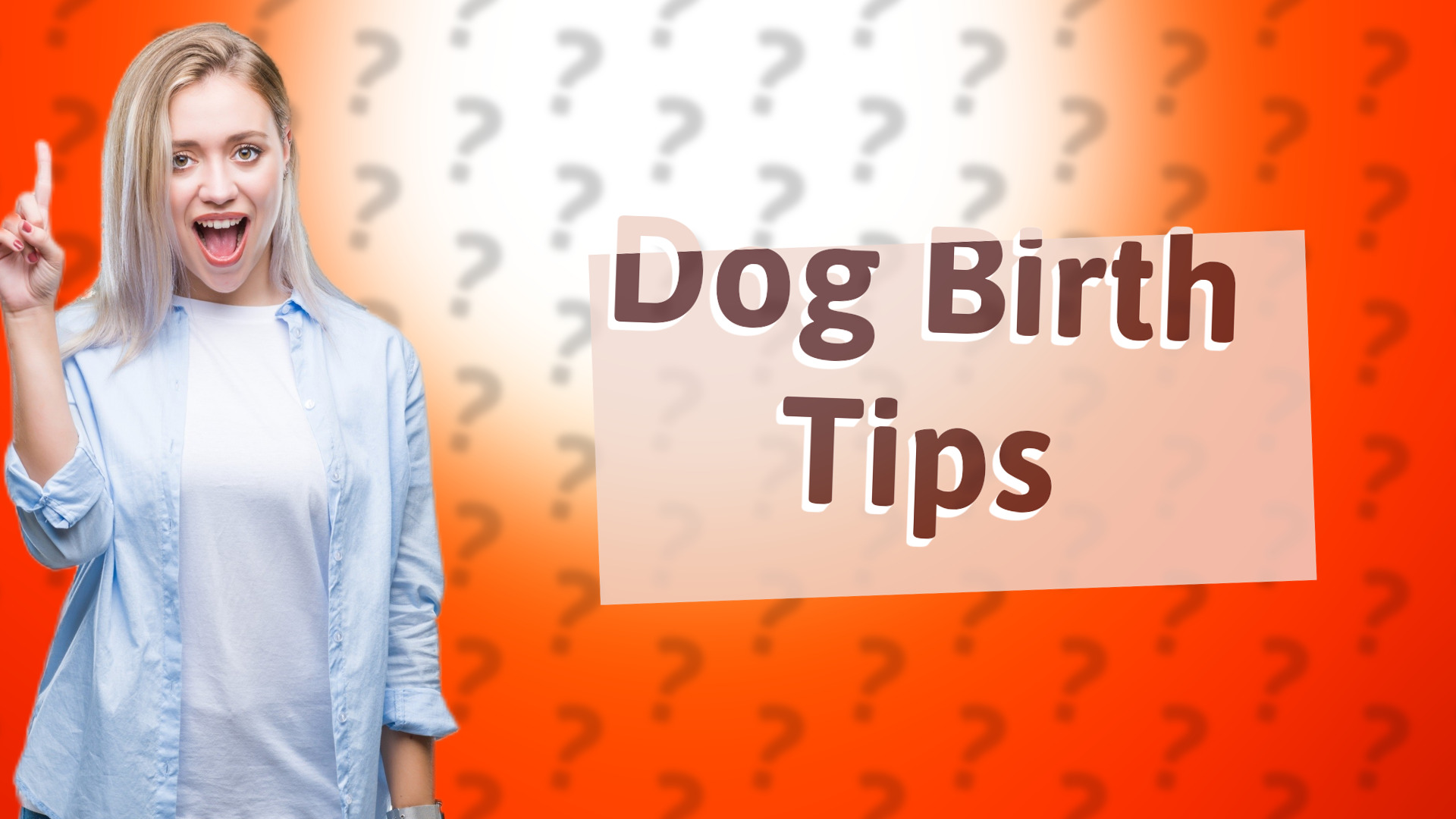 Dog Birth Tips