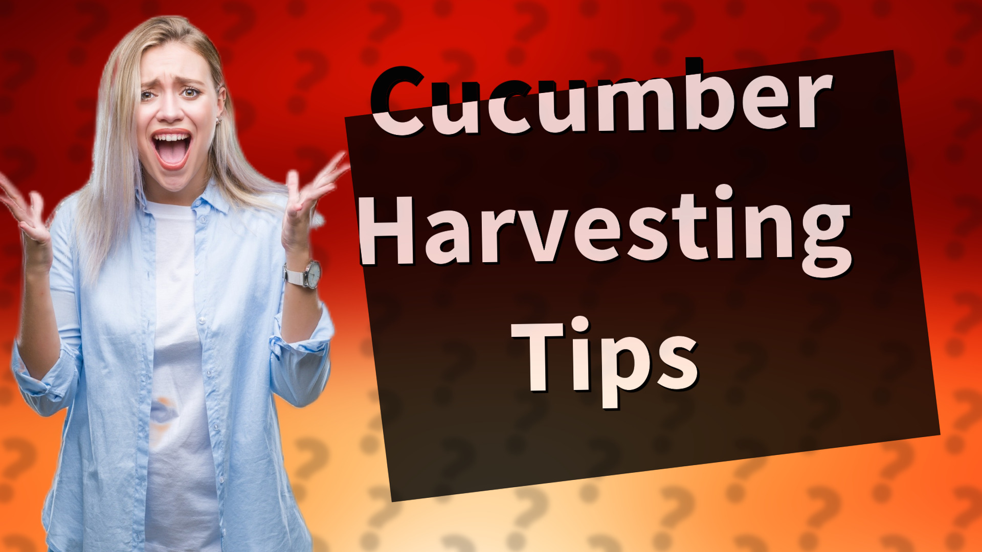 Cucumber Harvesting Tips
