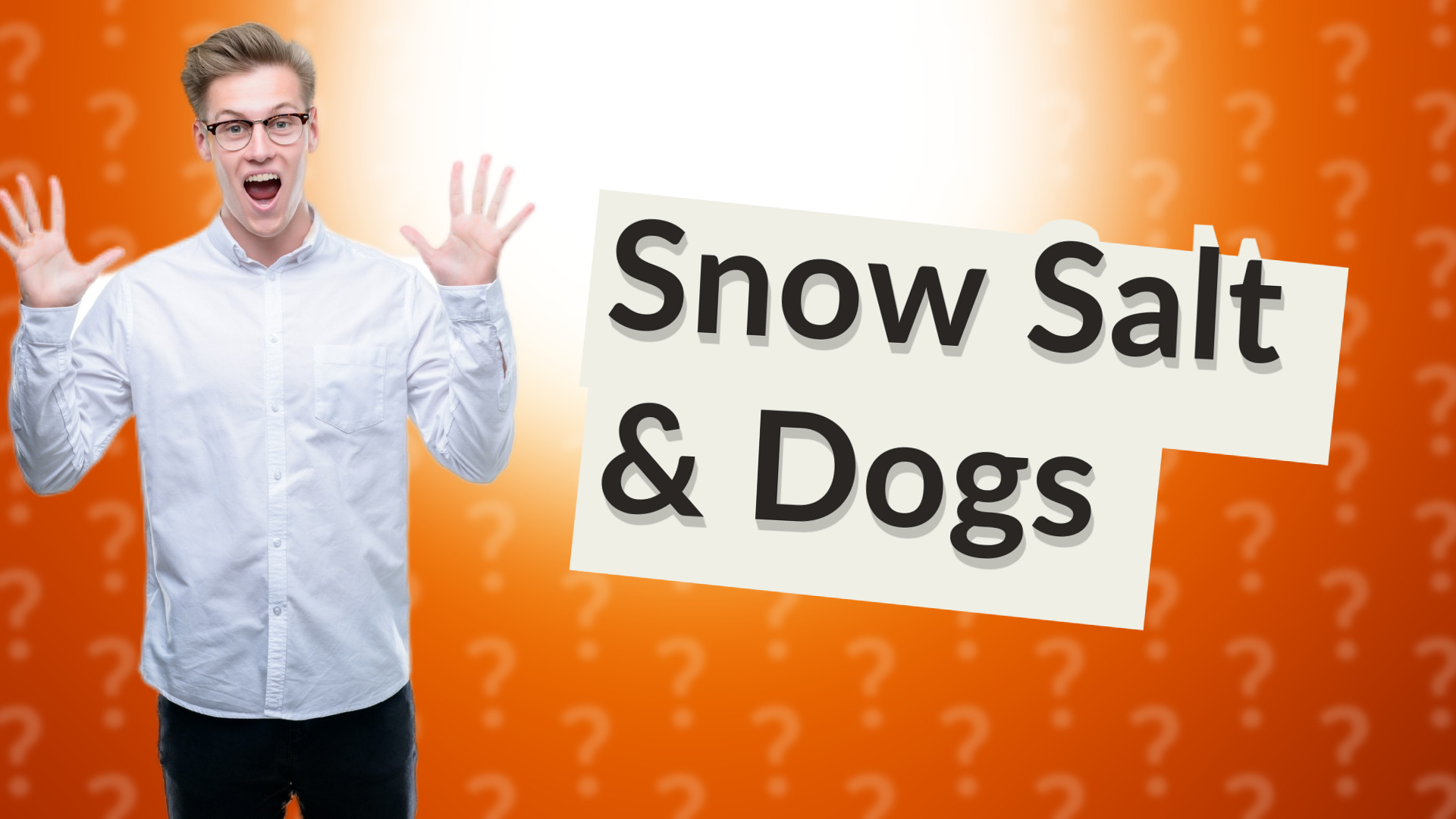 Snow Salt & Dogs