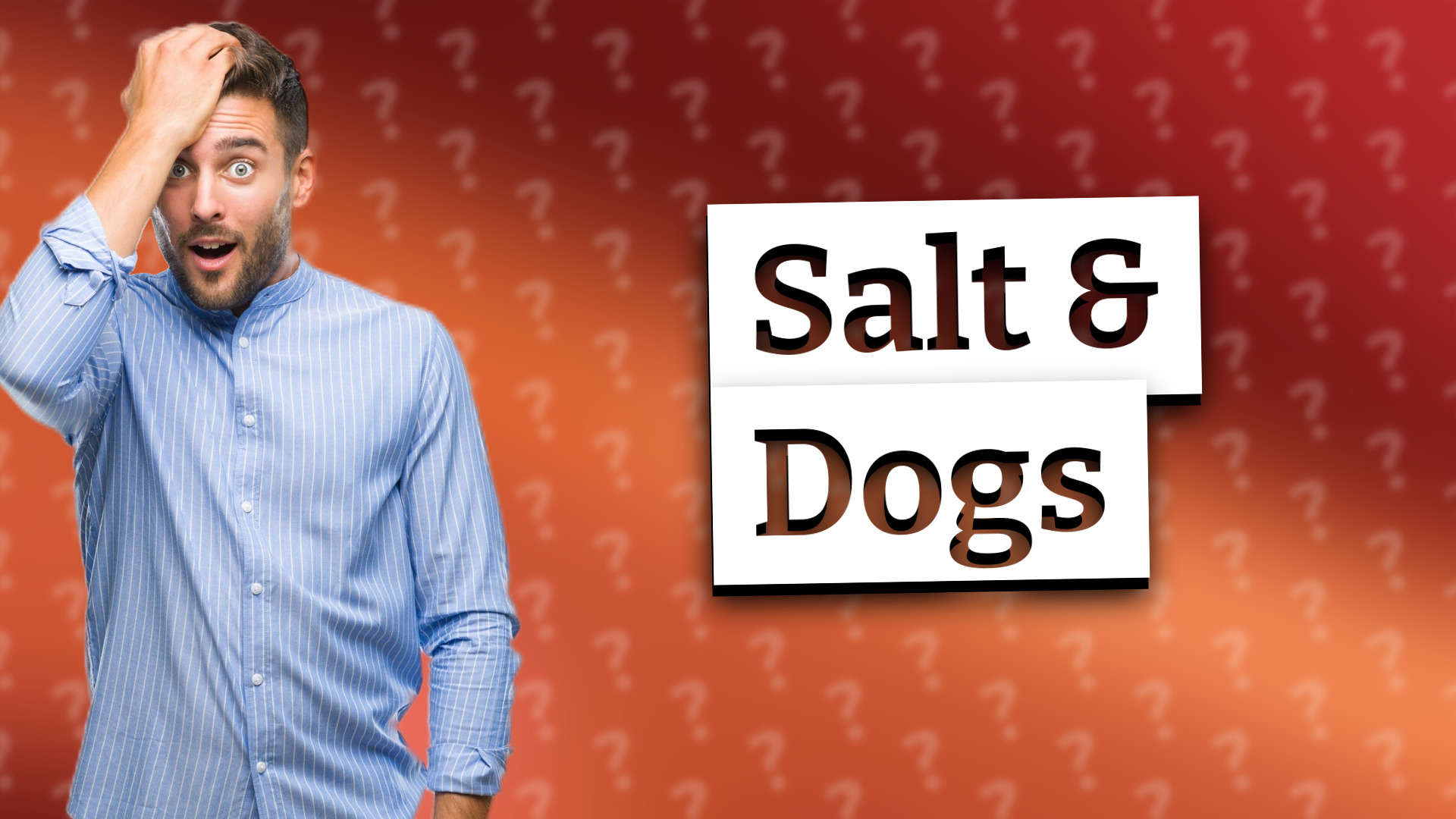 Salt & Dogs