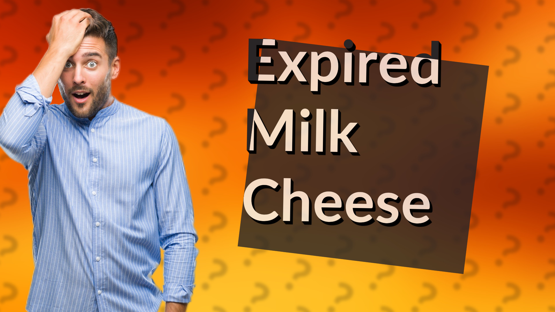 Expired Milk Cheese