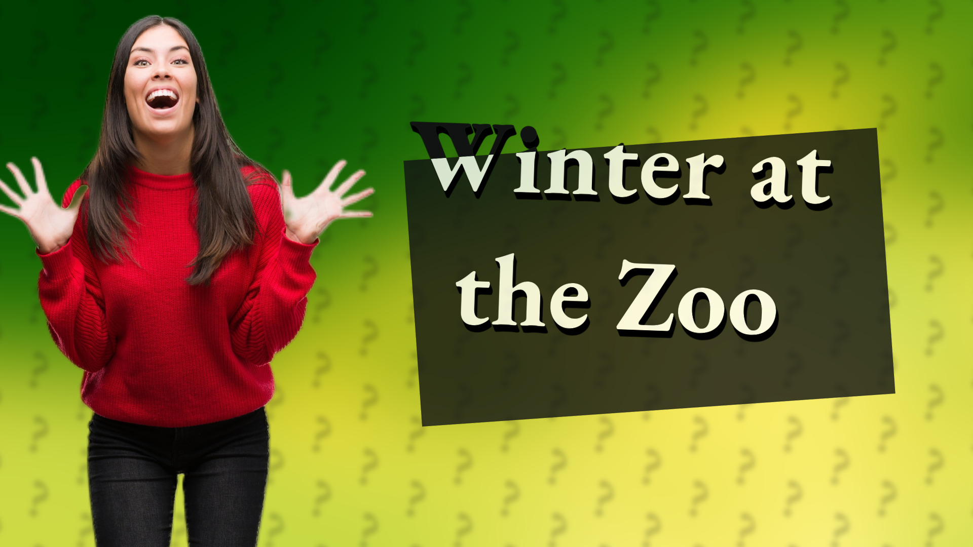 Winter at the Zoo