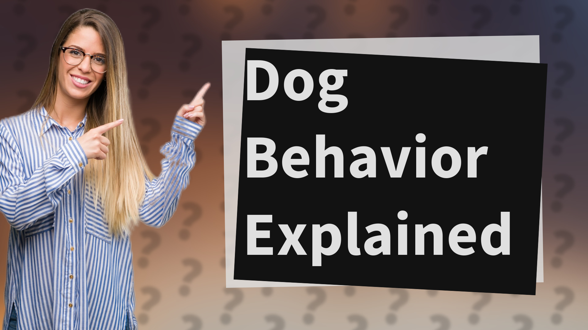 Dog Behavior Explained