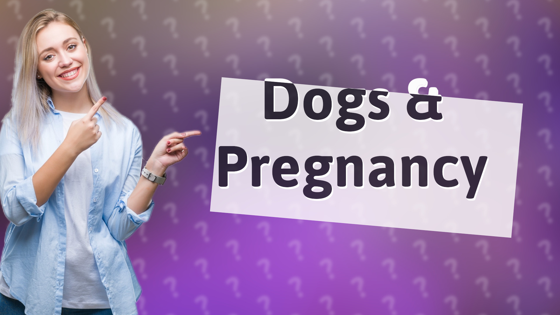 Dogs & Pregnancy