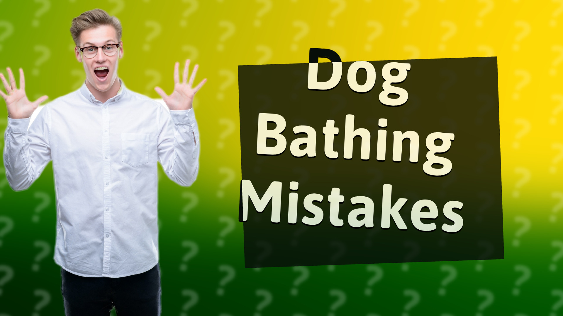 Dog Bathing Mistakes