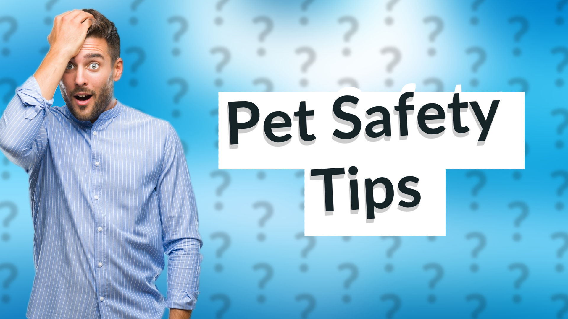 Pet Safety Tips