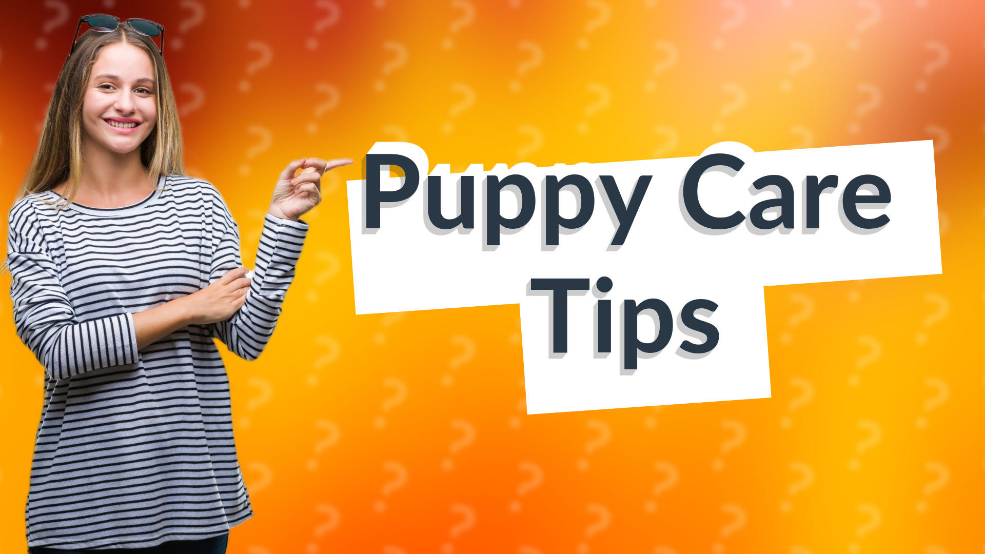 Puppy Care Tips